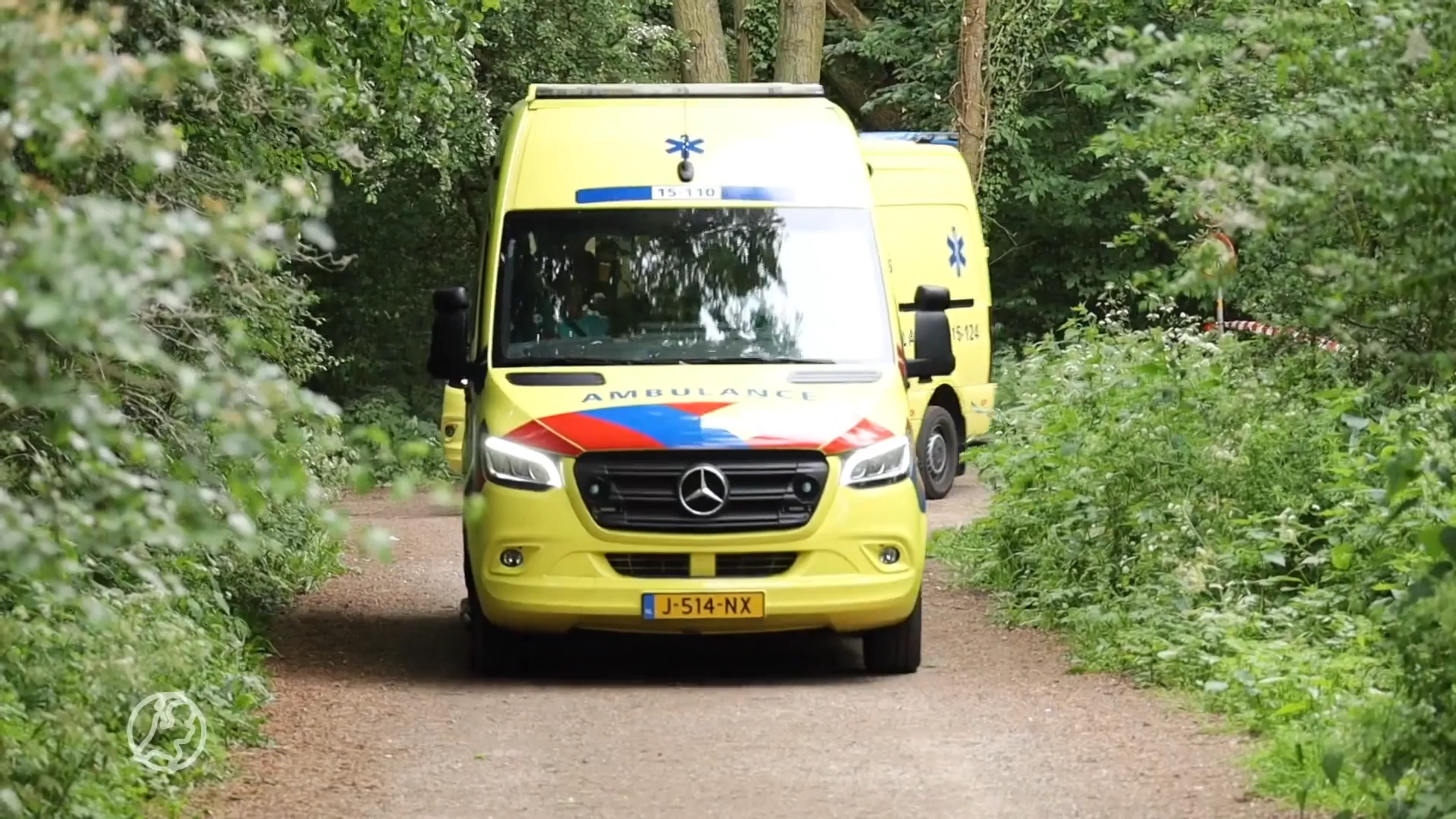Dode man bos bij 's-Gravenzande blijkt vermiste Taco (61): 'Natuurlijke dood gestorven'