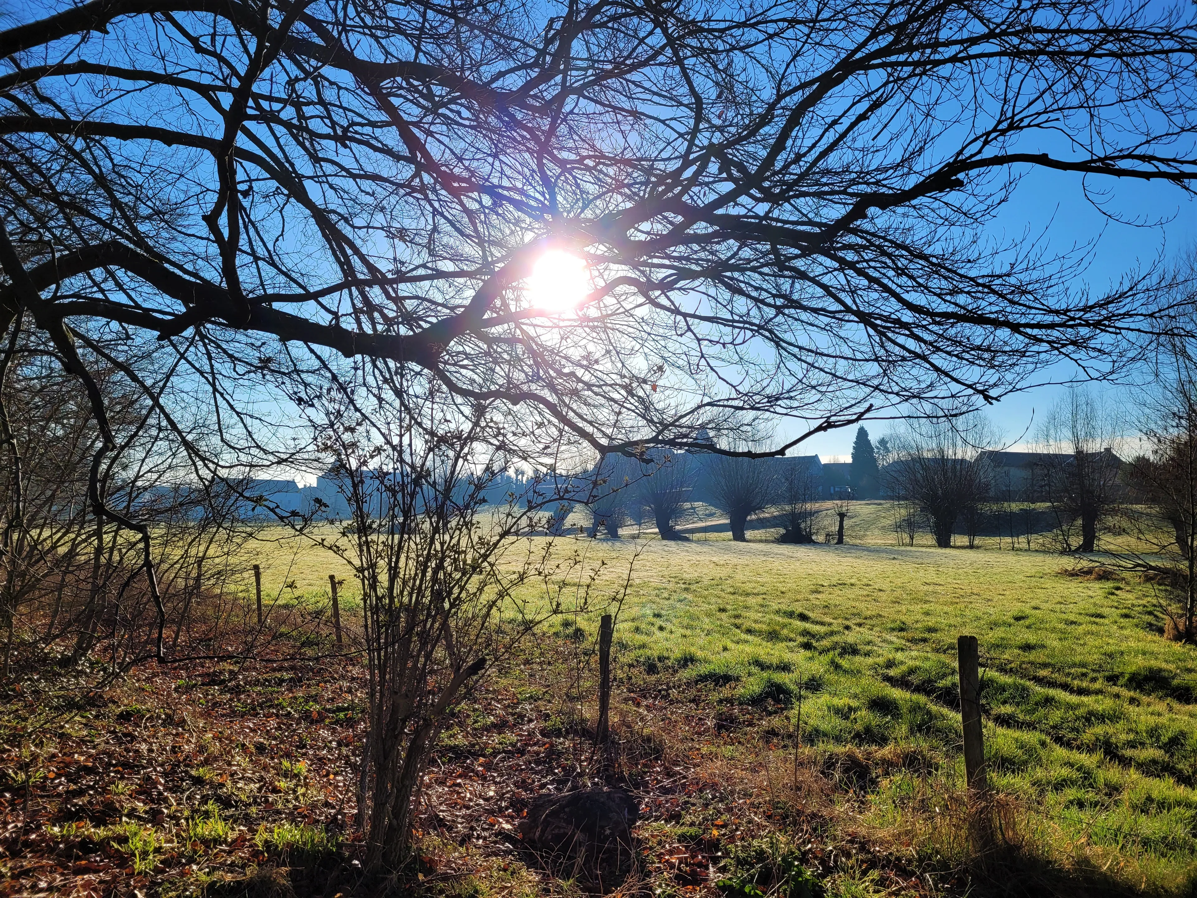 Zondag heel warm, kunnen zelfs records worden verbroken