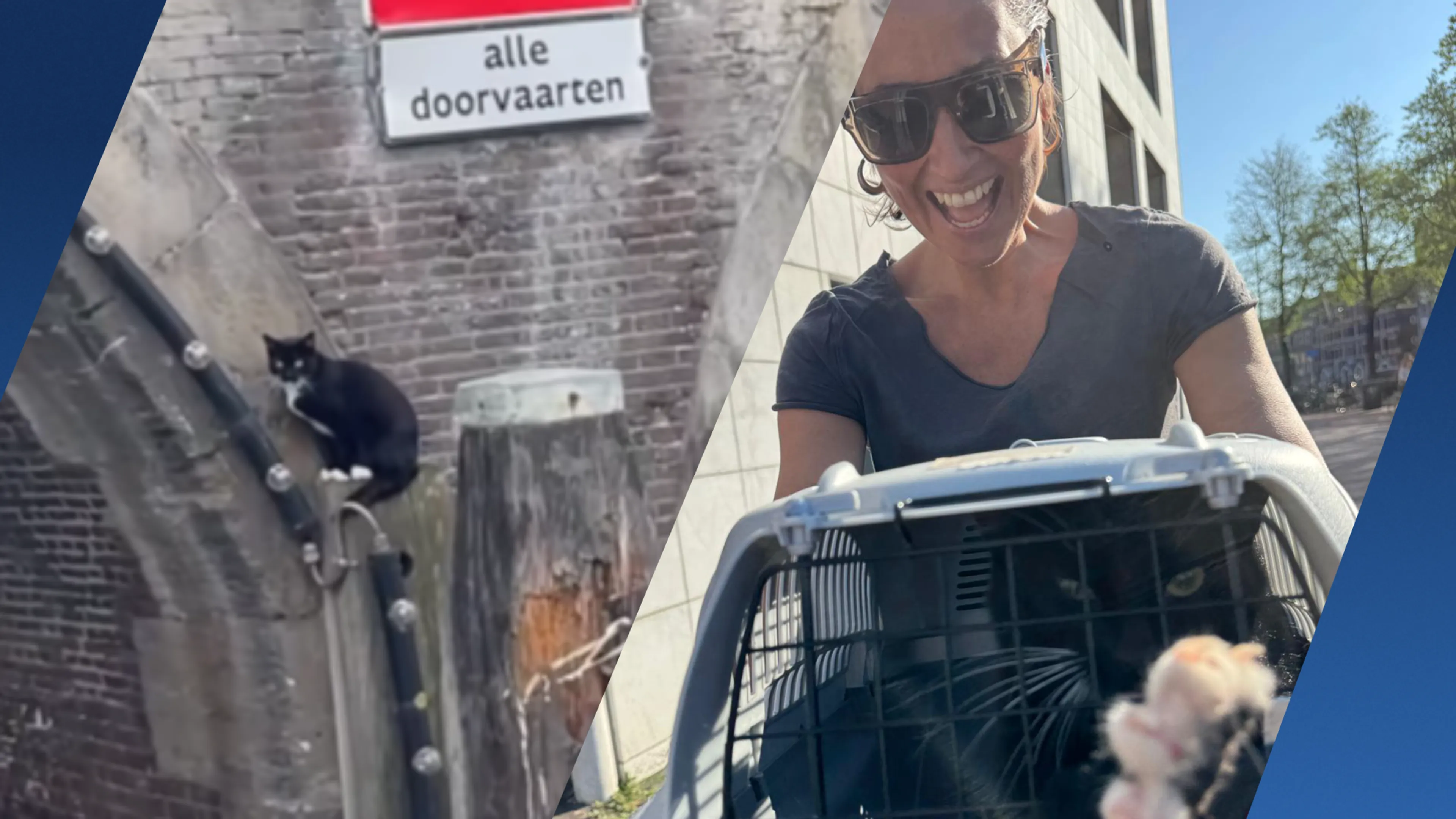 Opluchting voor Danielle: kat uit wereldberoemde reddingsvideo weer thuis