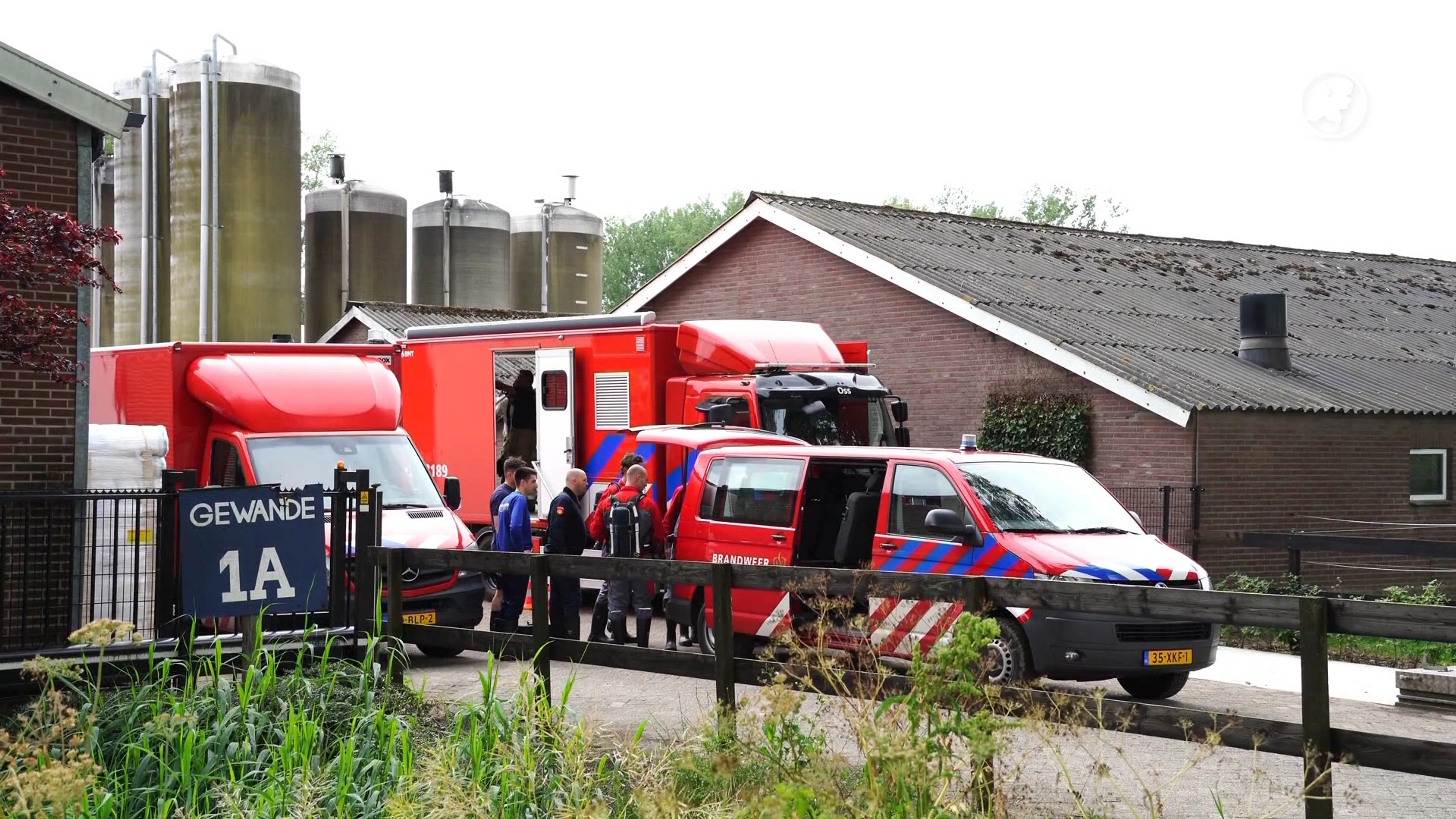 Brandweer uren bezig met redden varkens uit put in Den Bosch