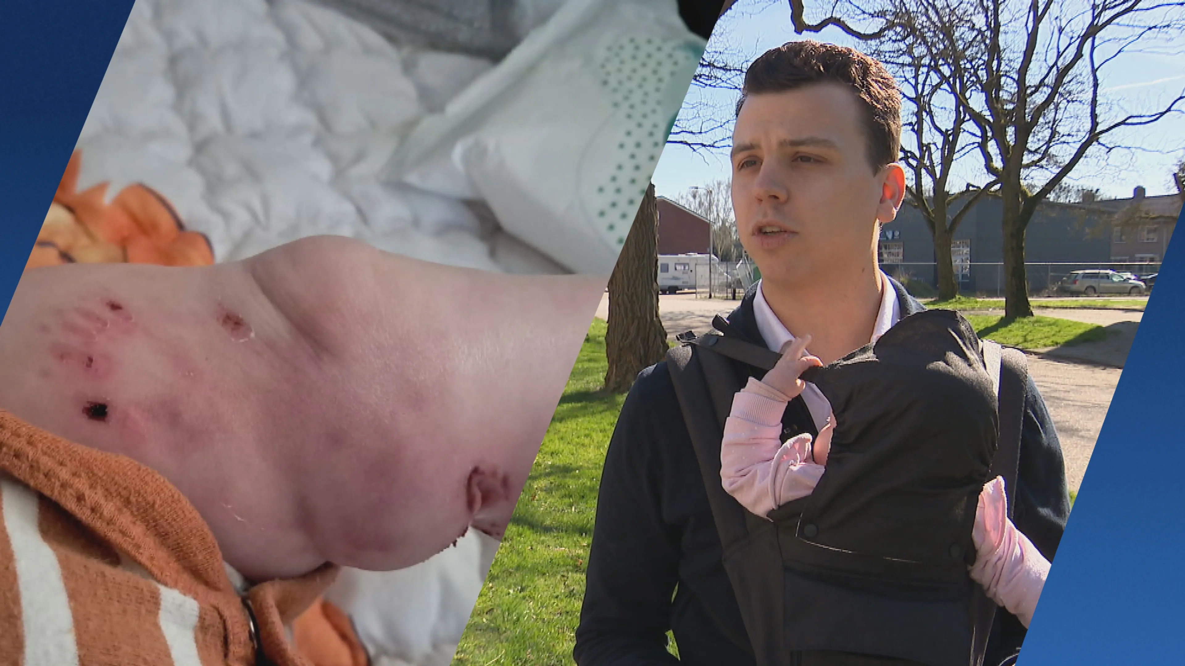 Herdershond die baby Hailey aanviel in Coevorden overgebracht naar andere plek