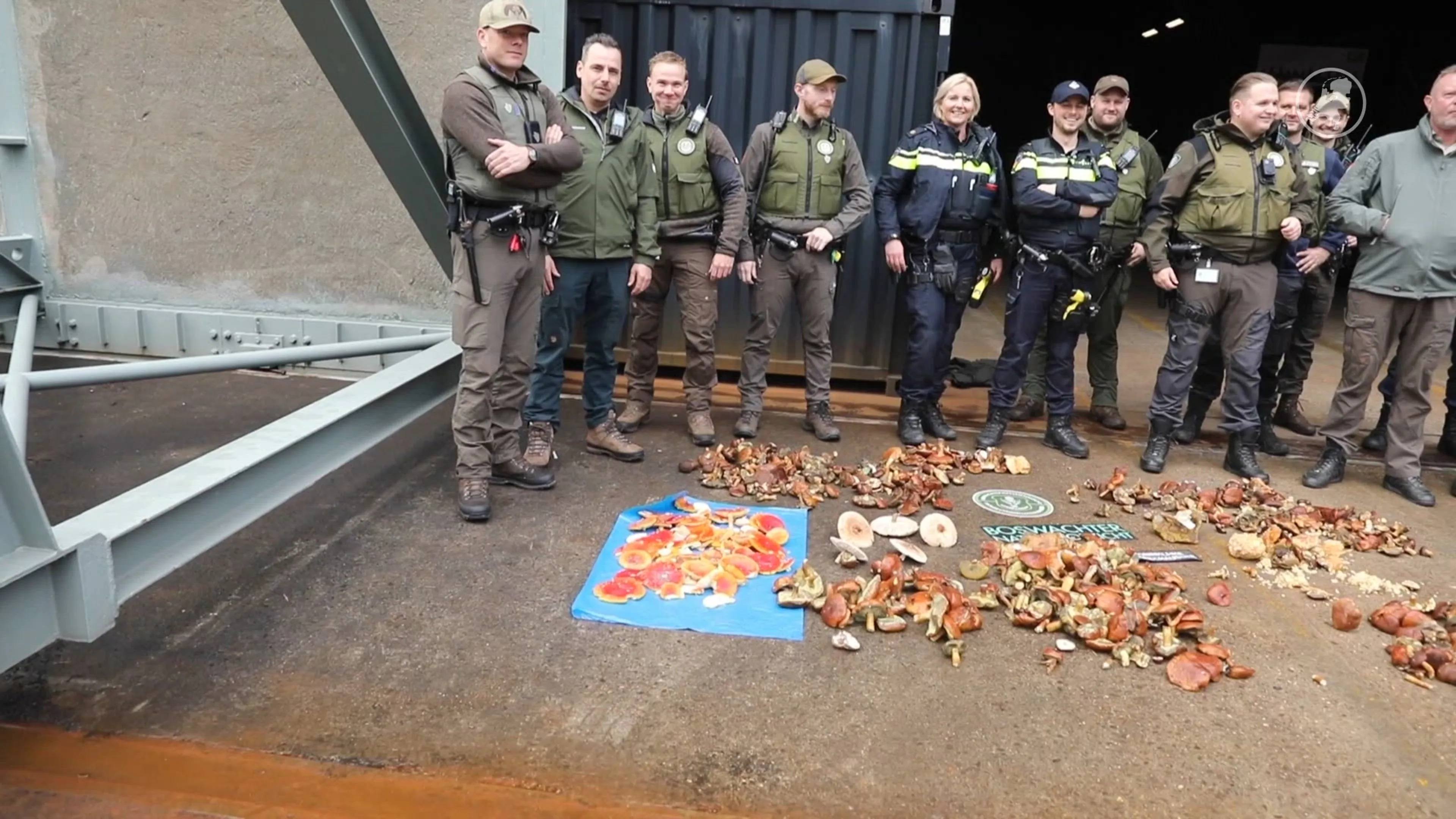 Handhavers betrappen paddenstoelendieven op heterdaad
