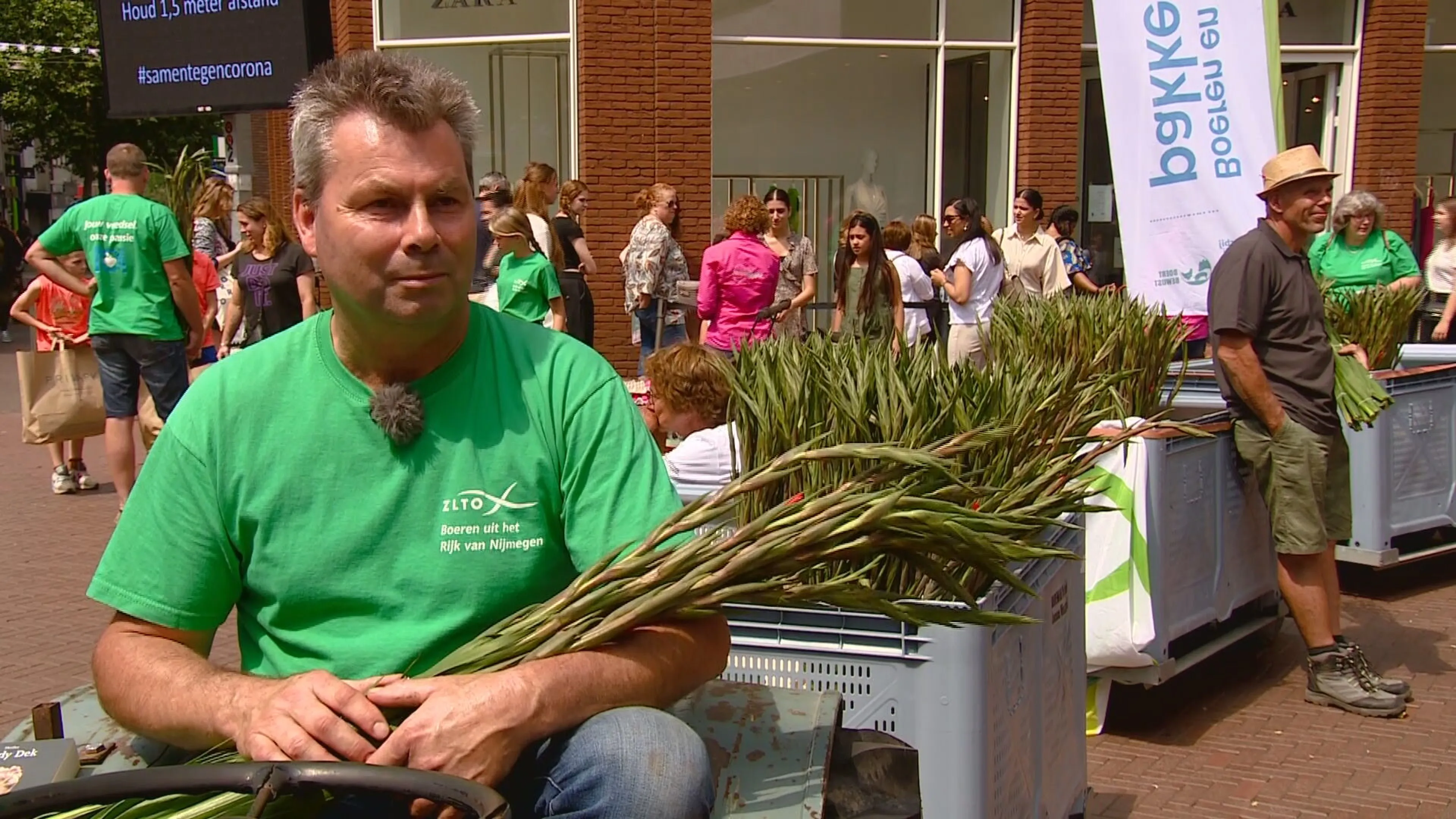 Boeren verkopen 'Vierdaagse gladiolen' voor het goede doel
