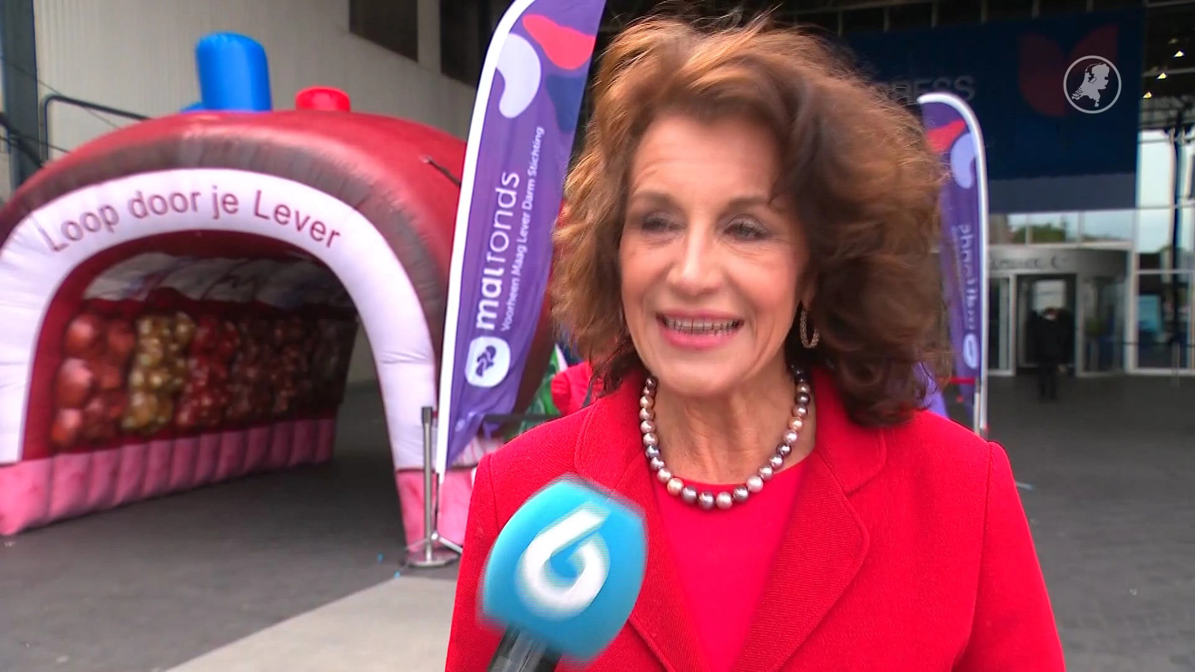 Directeur MDL Fonds: 'Je hebt je lever ongelooflijk hard nodig'