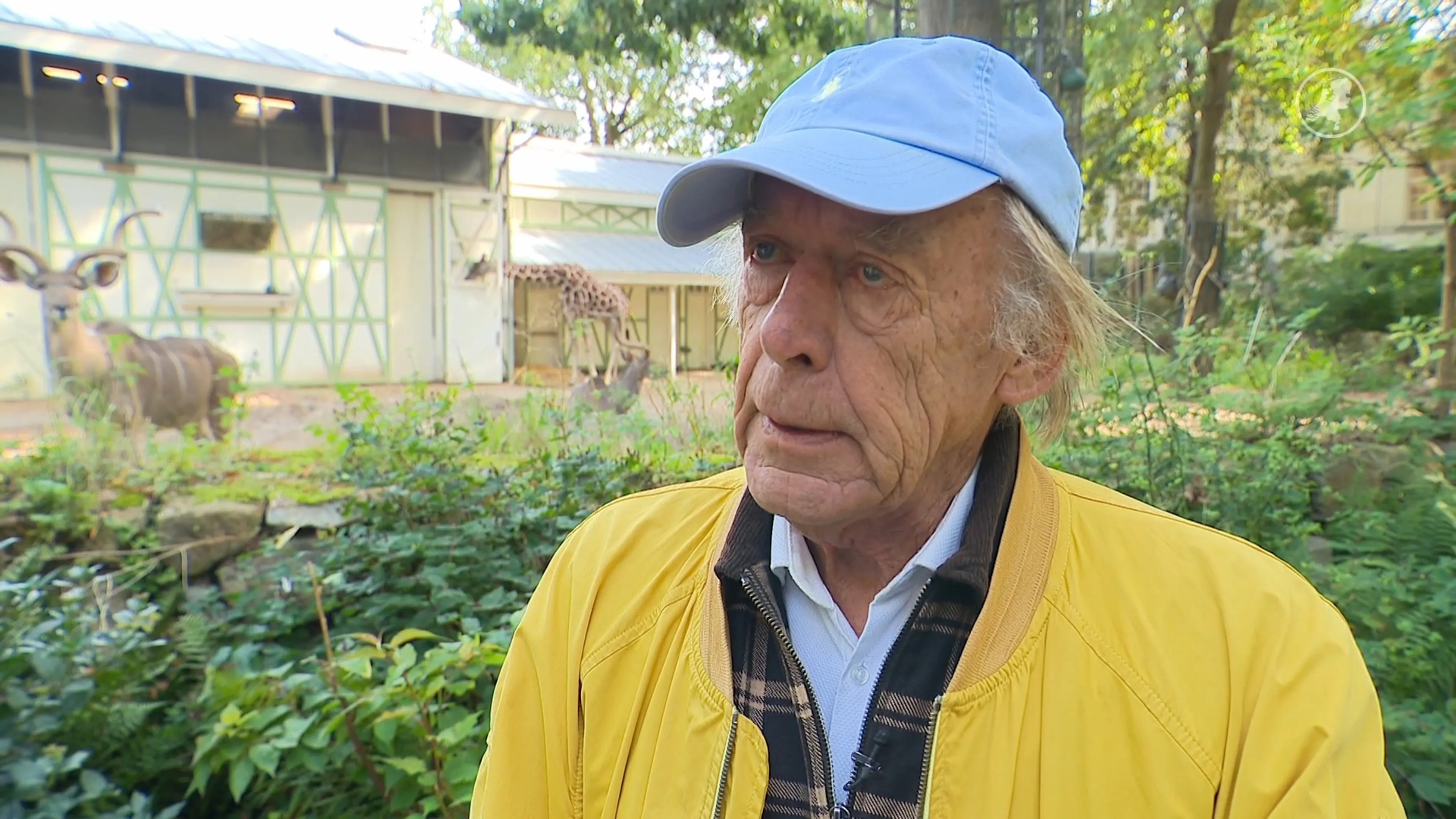 Veel ouderen voelen zich een last: Willem (79) herkent eenzaamheid bij senioren