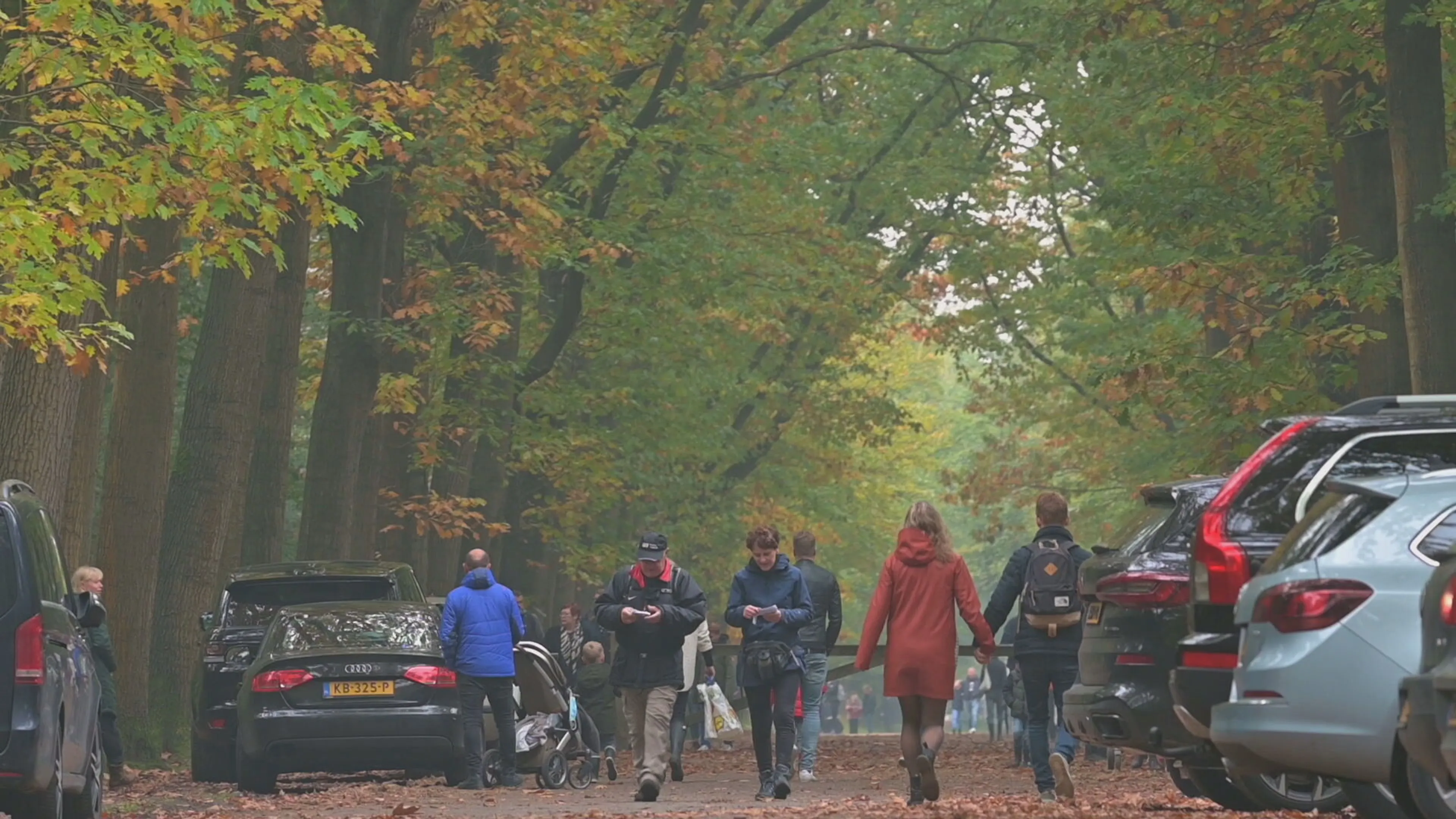 Code rood voor bossen rondom Breda: 'Veel te druk, ga ergens anders heen'