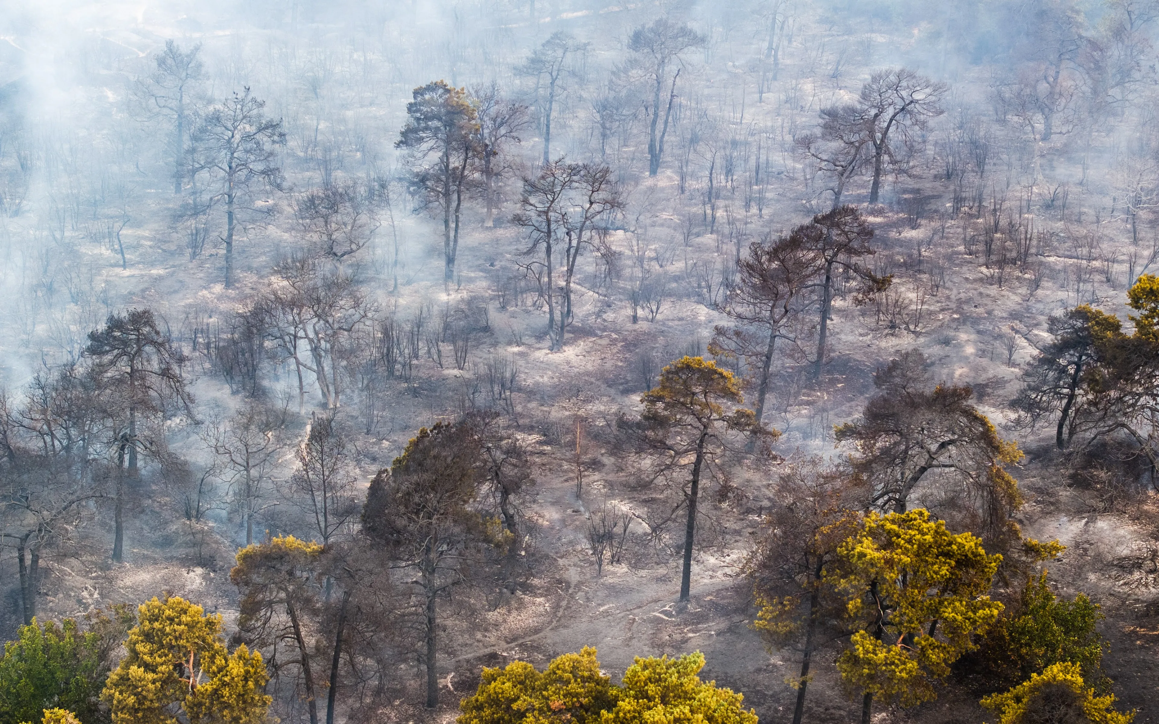 Natuurbrand Venray zorgt ook voor brandlucht in regio Nijmegen