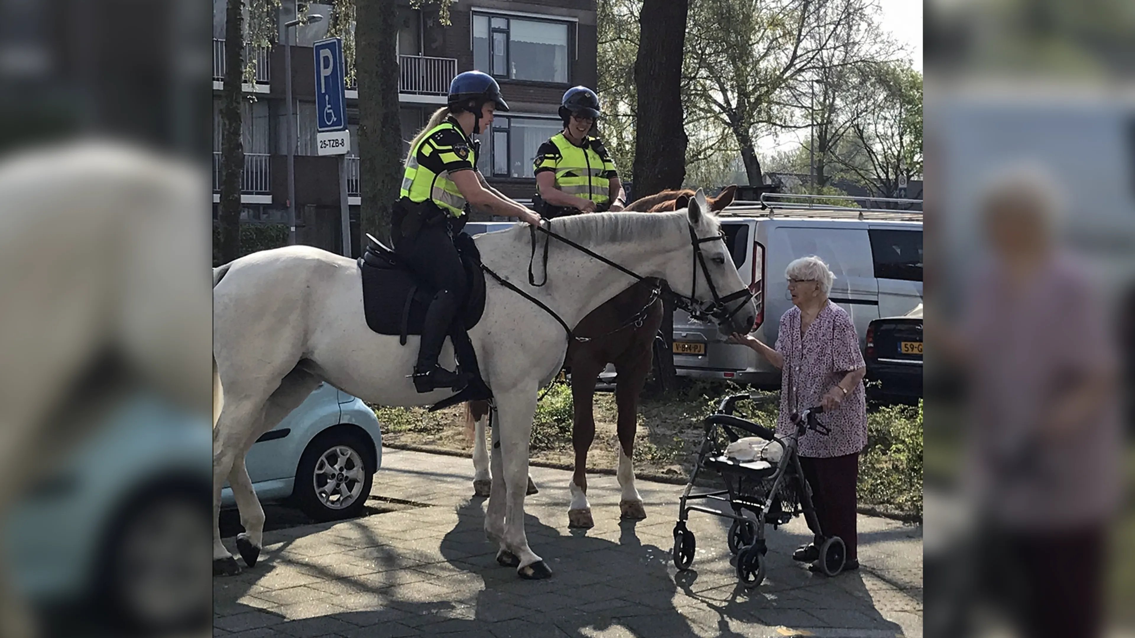 Oma Jopie (99) kan niet bij 'haar' politiepaarden, dus komen ze naar haar