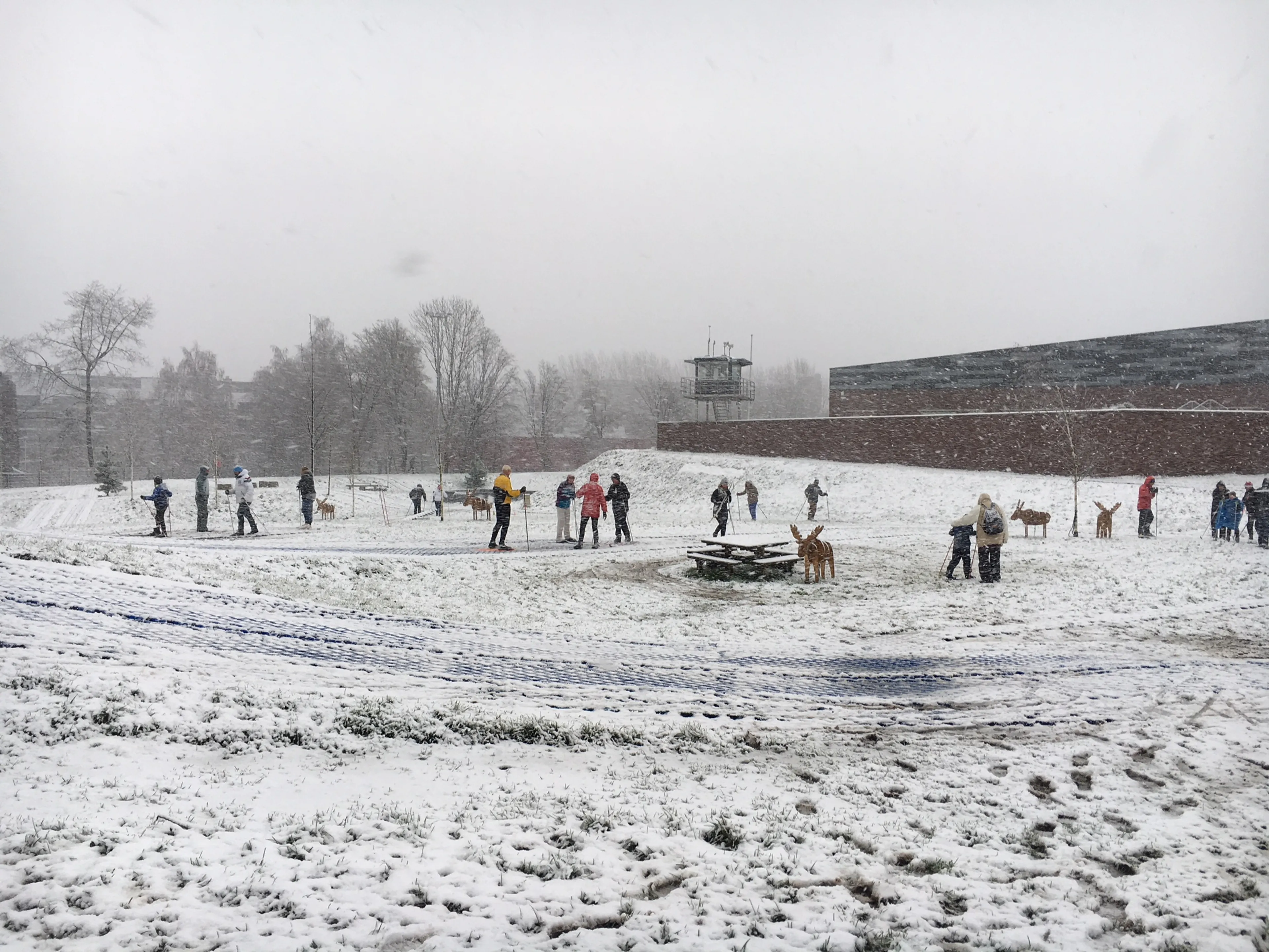 Nu nog op de baan, zondag in het park: langlaufers kijken reikhalzend uit naar de sneeuw