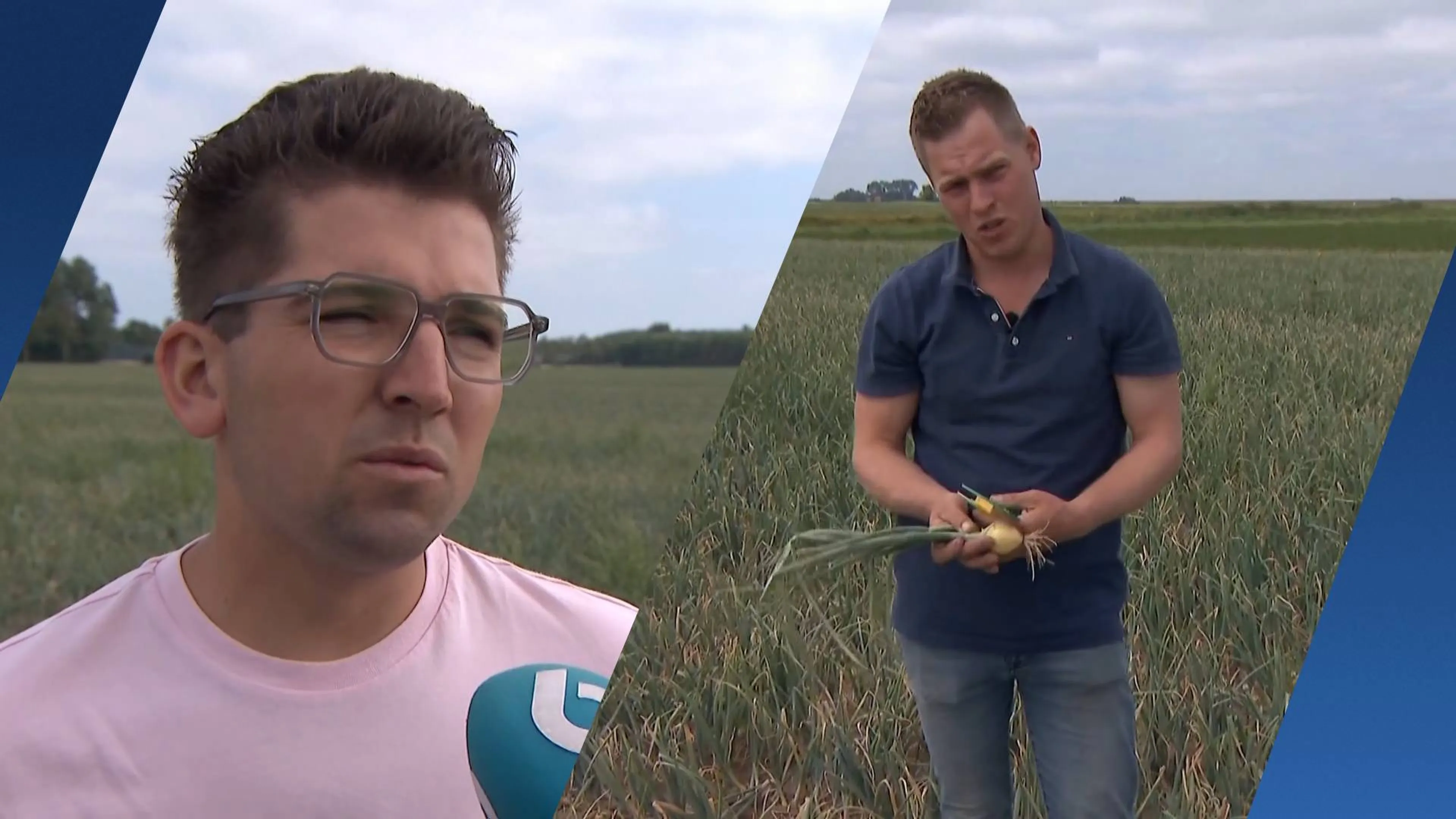 Droogte baart boeren zorgen: dreigt schaarste in de supermarkt?