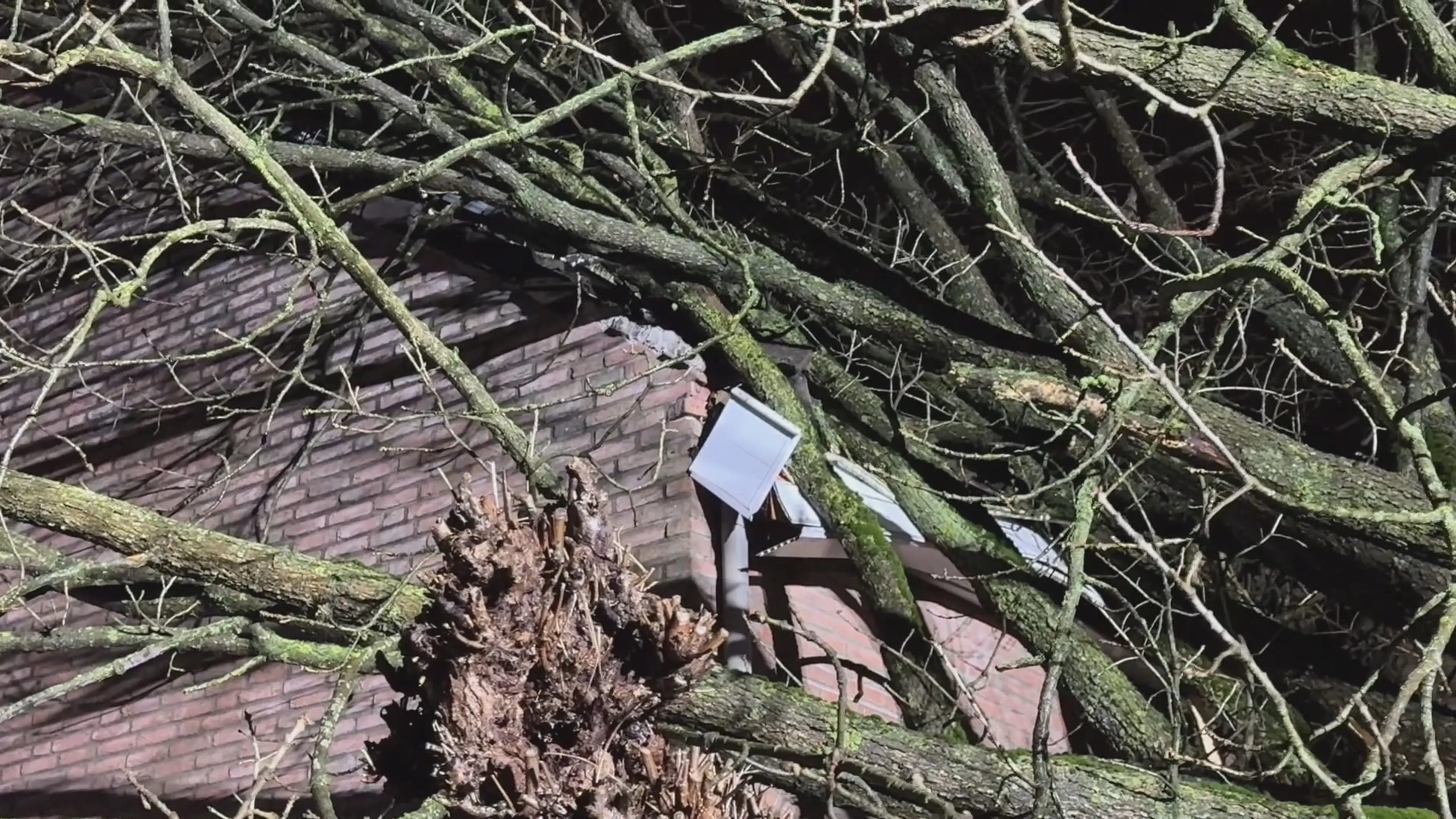 Van kapotte dakpannen tot schade aan auto's: ruim 250 schadeclaims na storm Louis