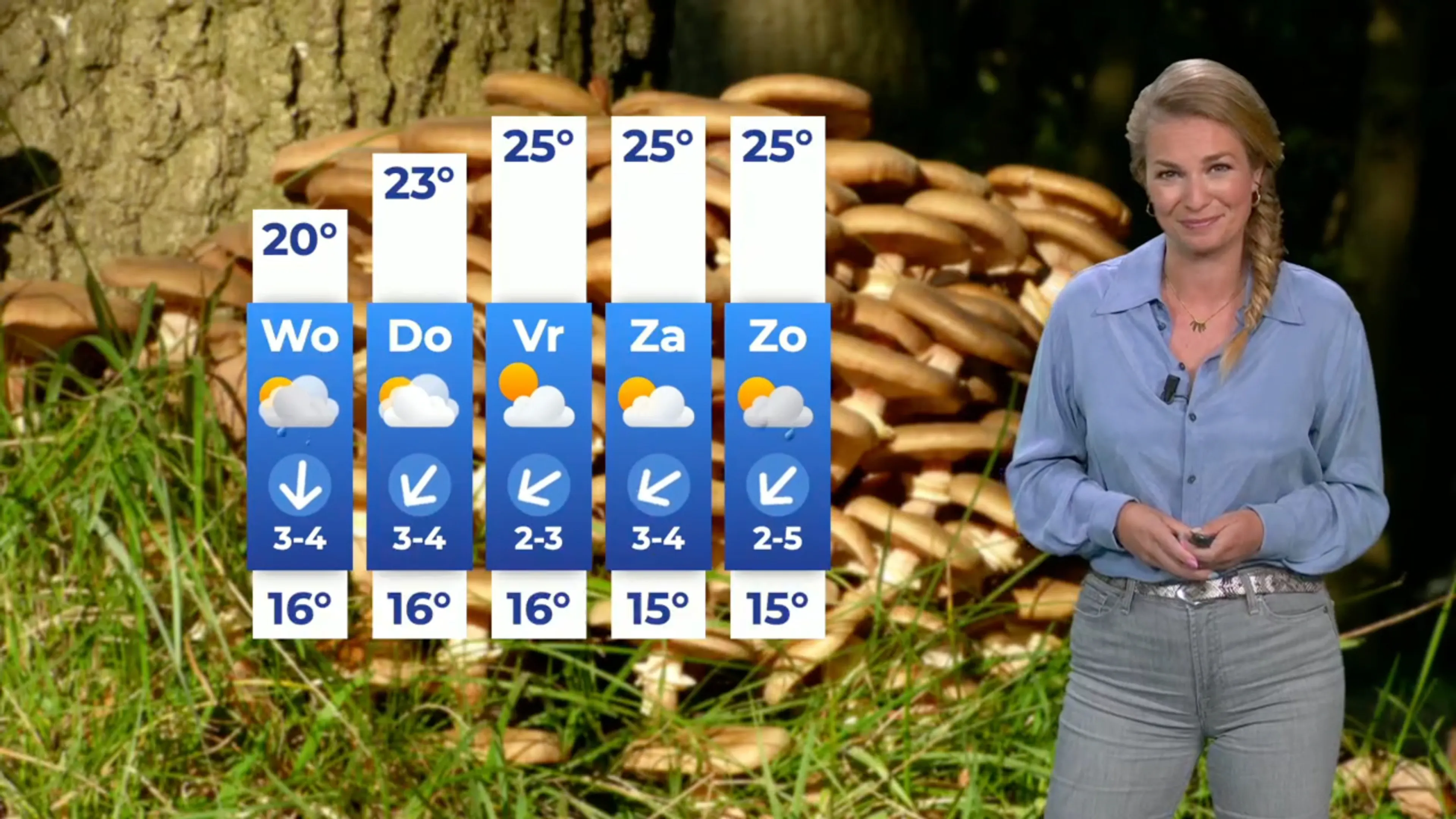 Zon laat zich weinig zien op druilerige woensdag