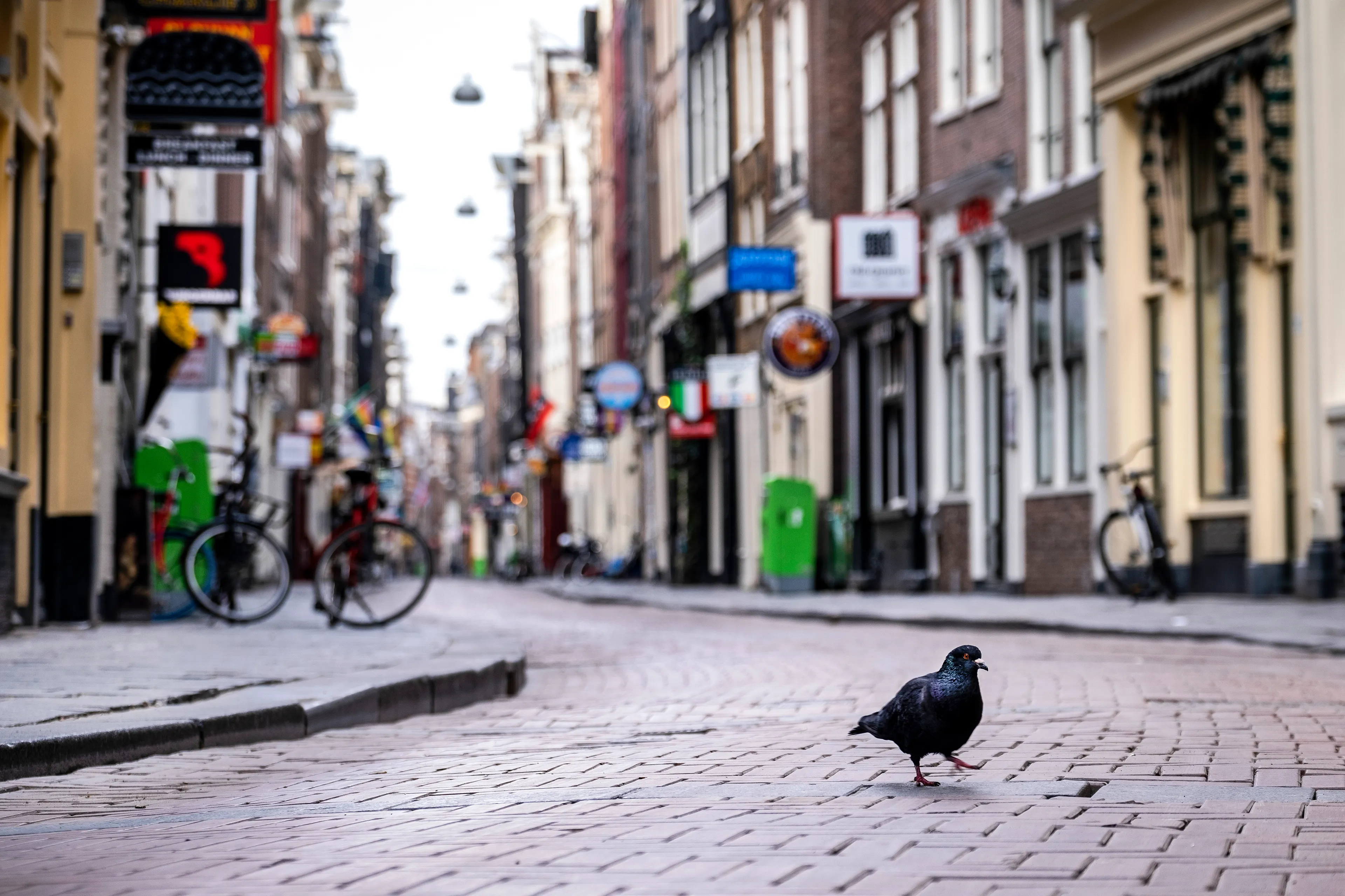 Planbureau voorspelt: Nederlandse economie krimpt dit jaar met 6 procent