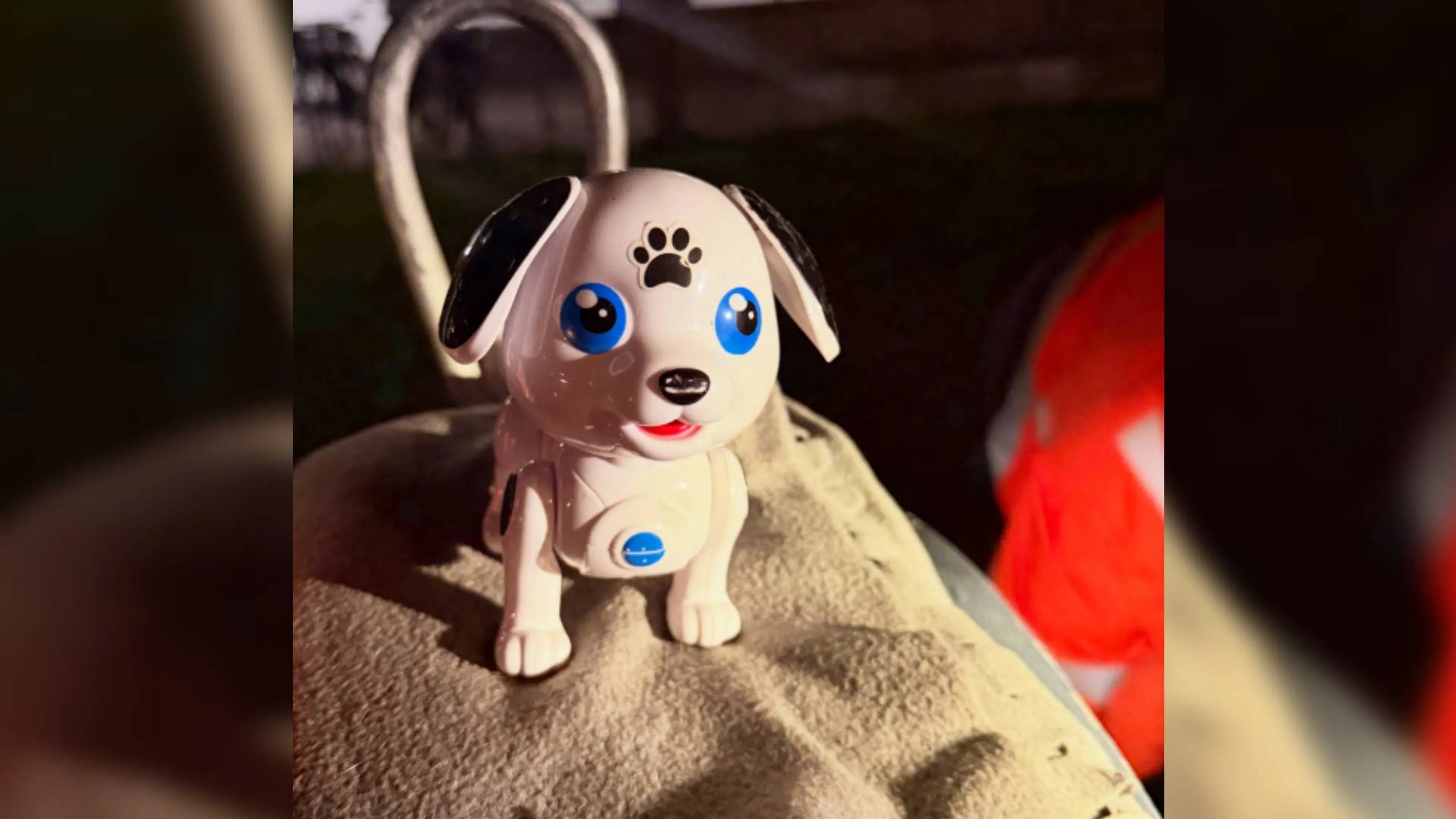 Hulpdiensten rukken uit voor mogelijk gedumpte 'puppy' in IJsselstein