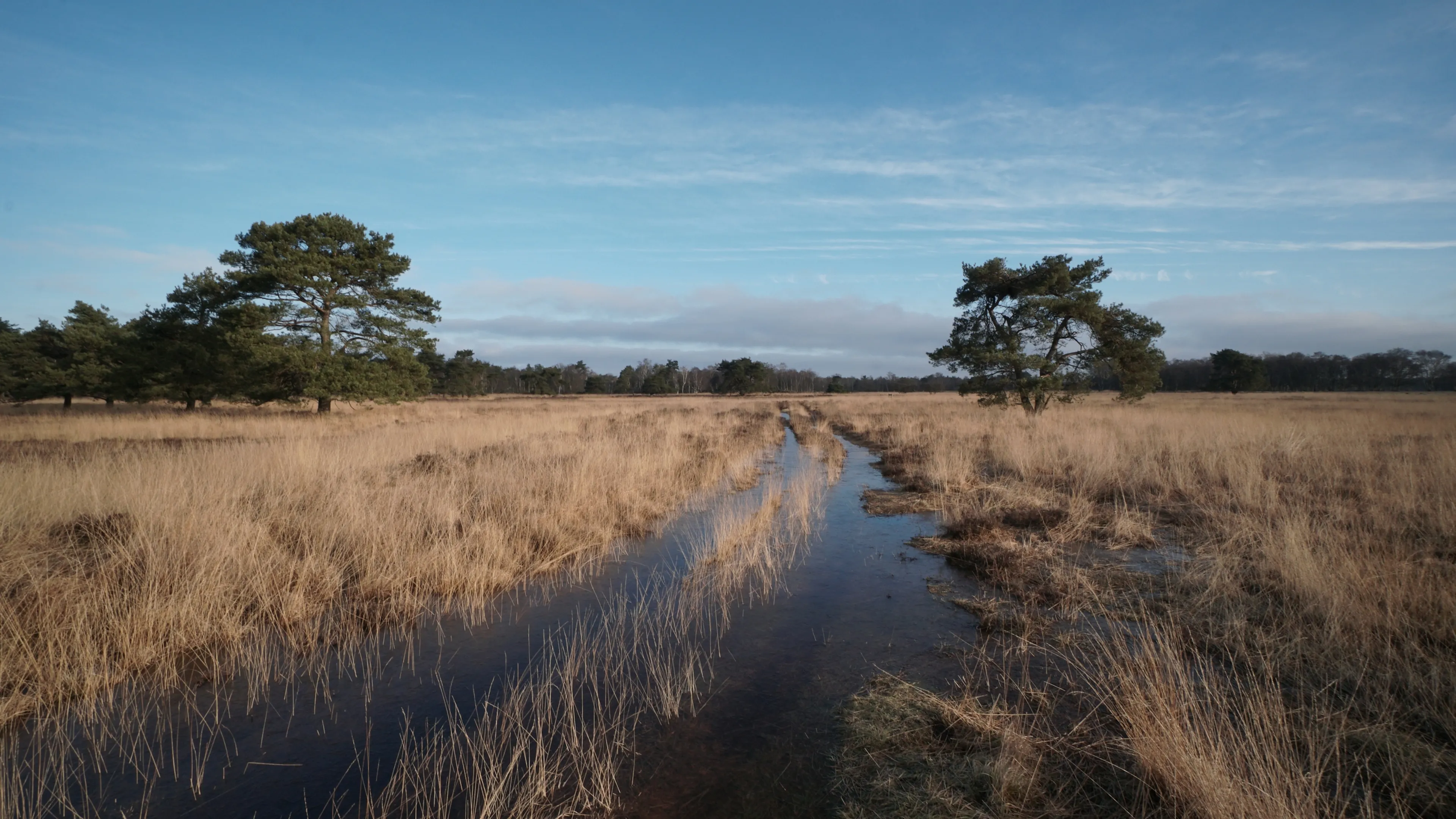 Van zon naar frisse jaarwisseling, later winterse buien