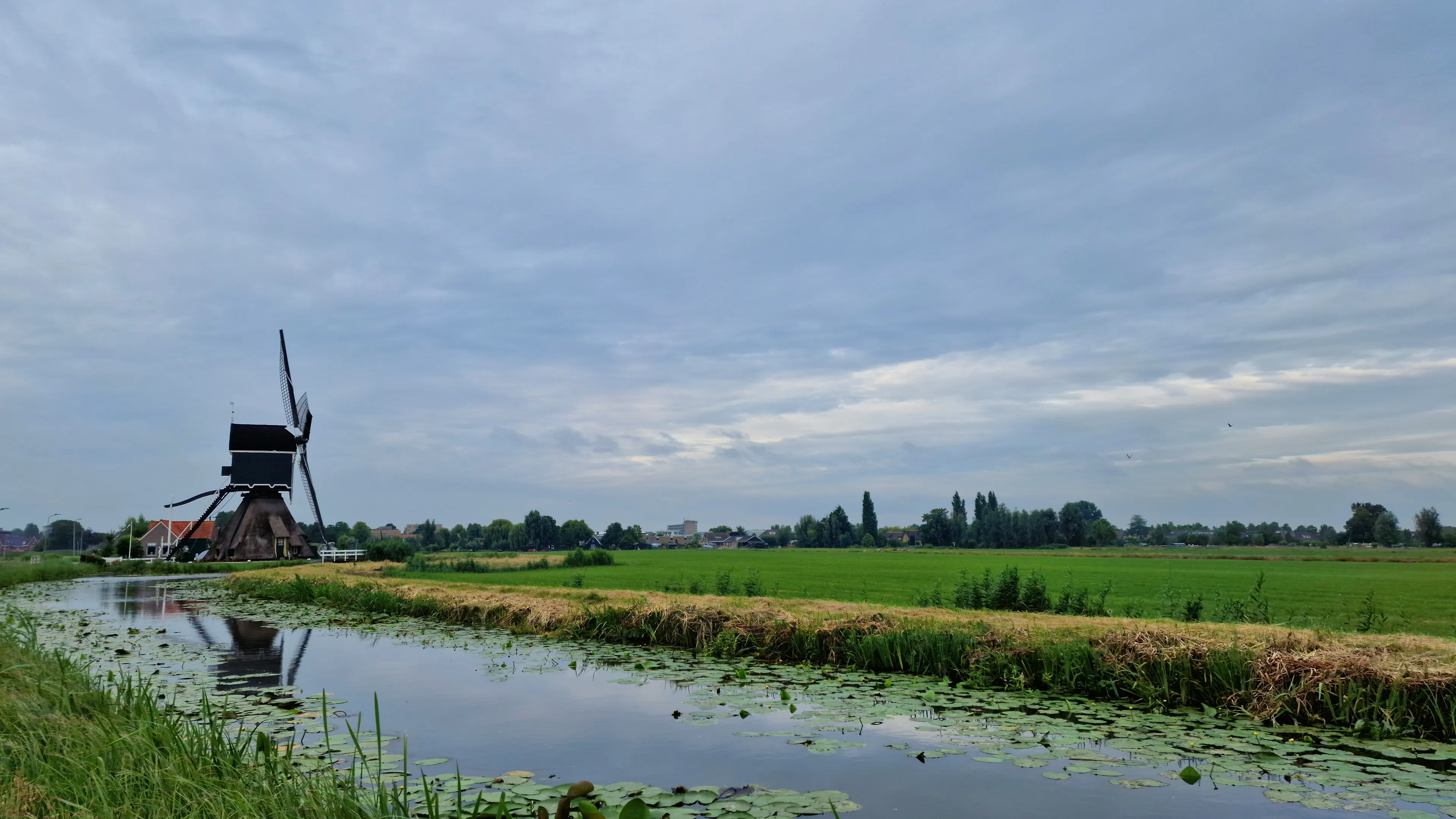 Na frisse start keert de zomer terug: tot 32 graden in het zuiden