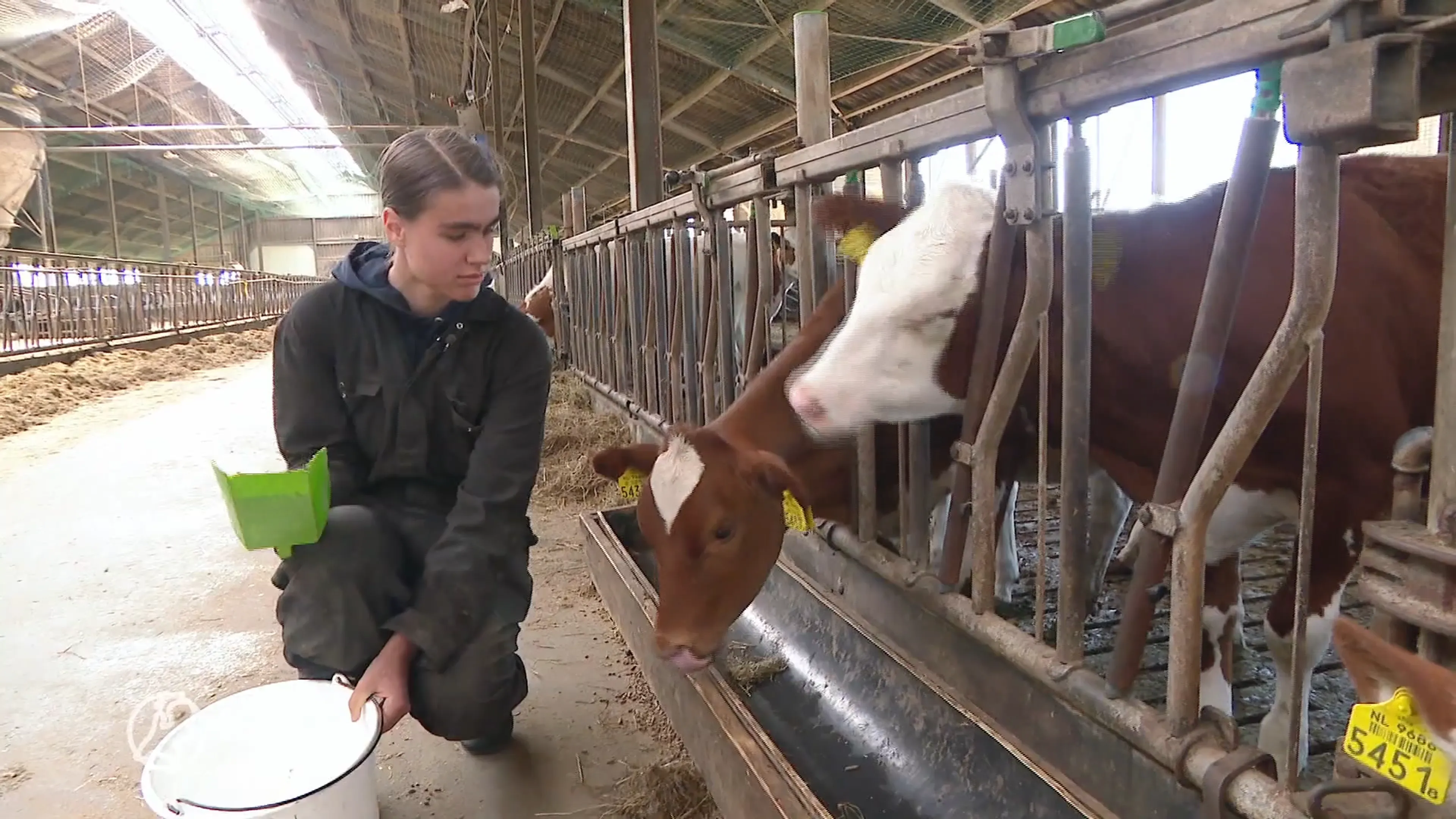 Ook zorgboerderijen kampen met wachtlijsten: 'Verschrikkelijk, vooral voor onze cliënten'
