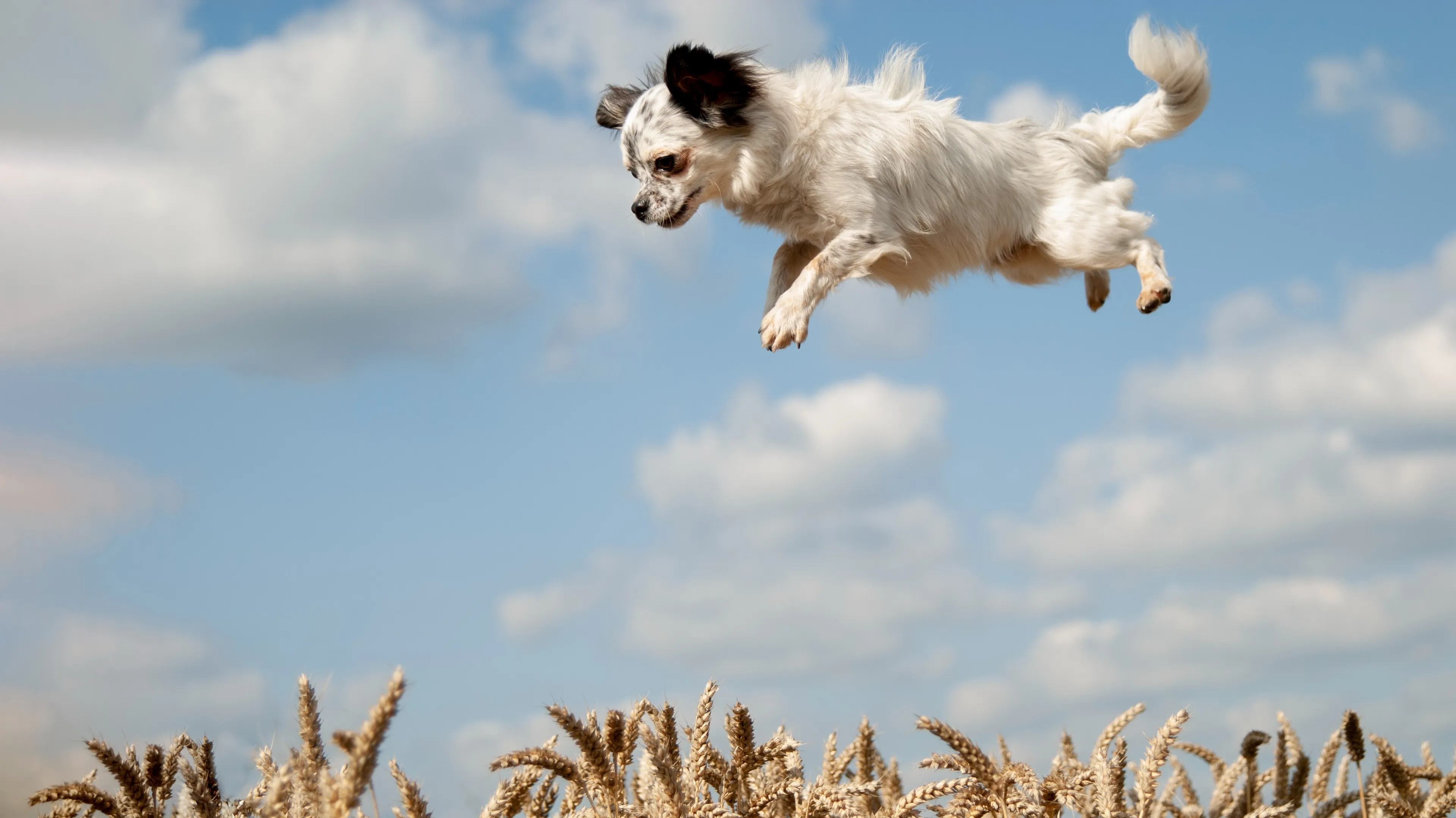 Zonnige nazomerdag op zondag, maar blijft het zo mooi?