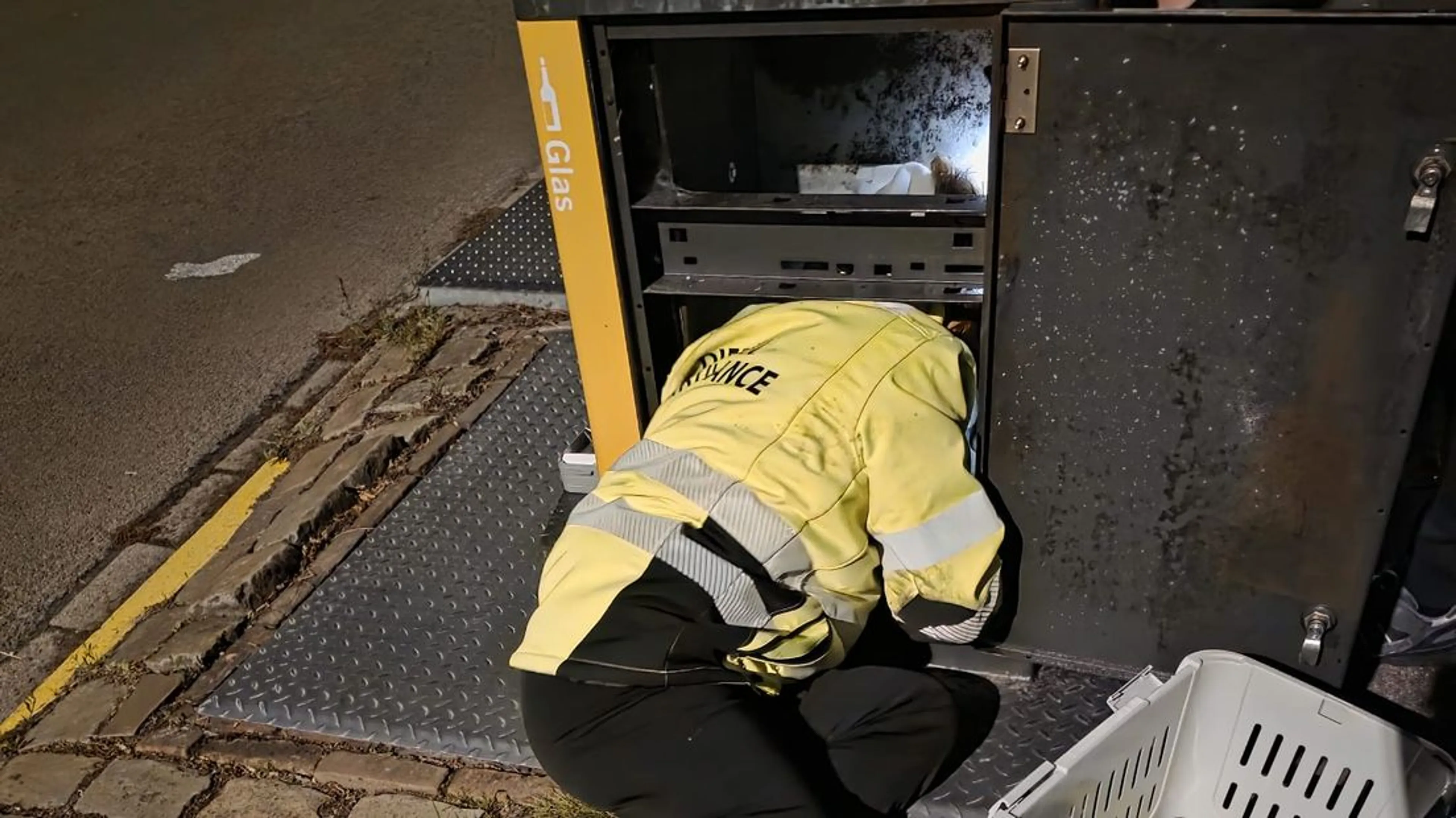 Kat Joep gered uit ondergrondse glasbak in Middelburg