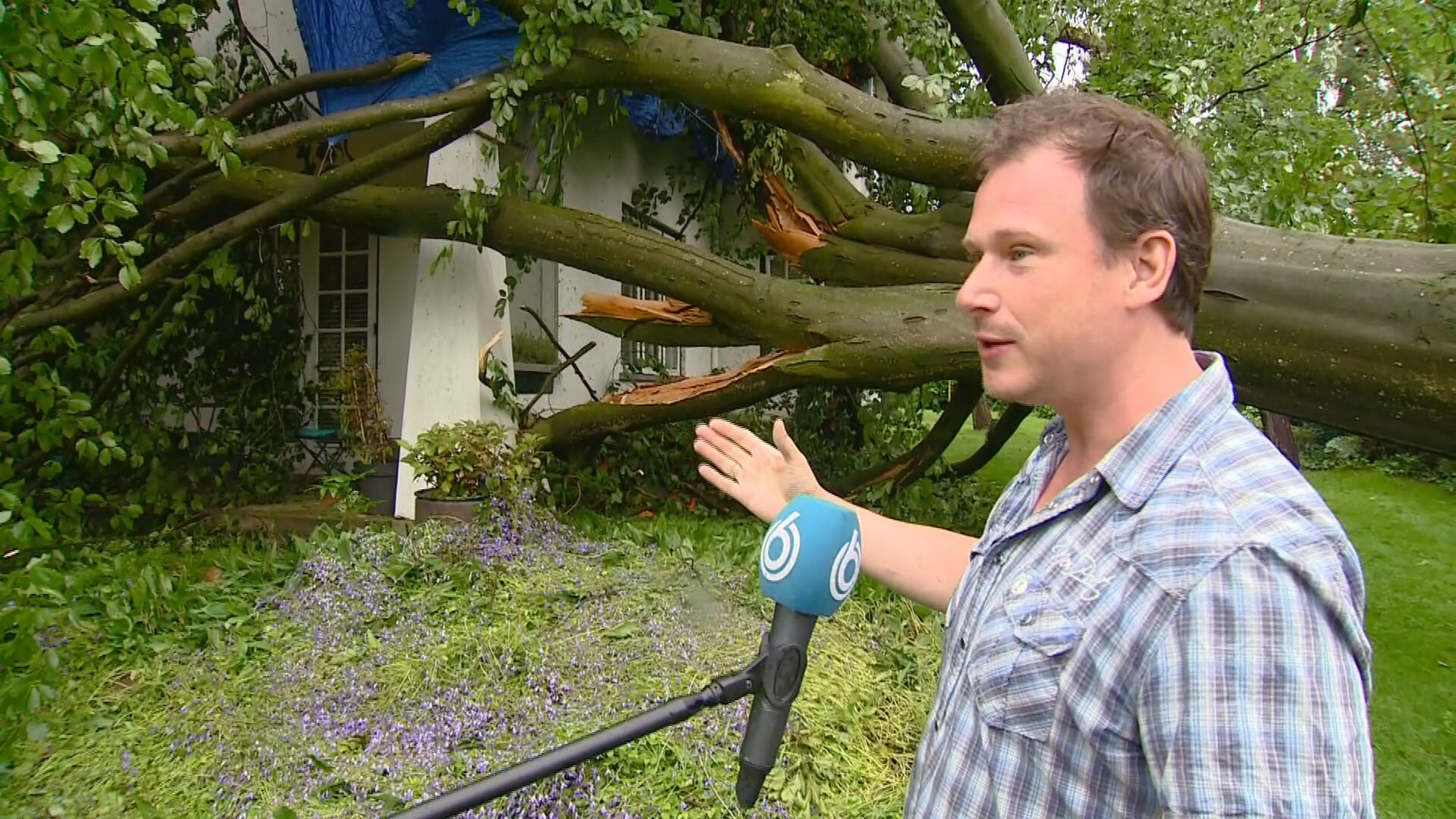 Gigantische boom doorklieft huis Jos tijdens noodweer: 'Als iemand in bad had gezeten, was diegene gespietst'