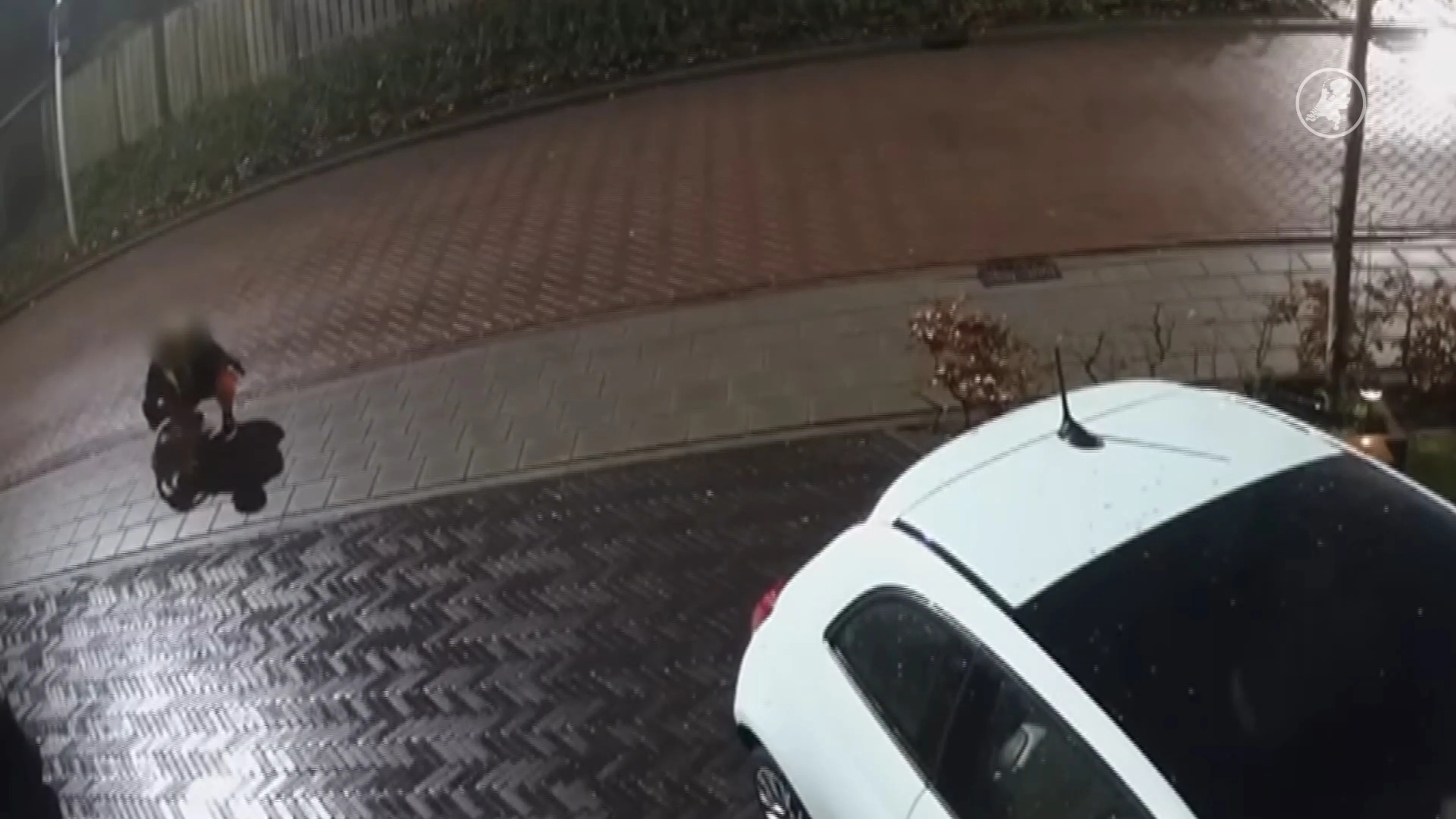 Steeds meer katten verdwijnen, en duiken kilometers verderop weer op