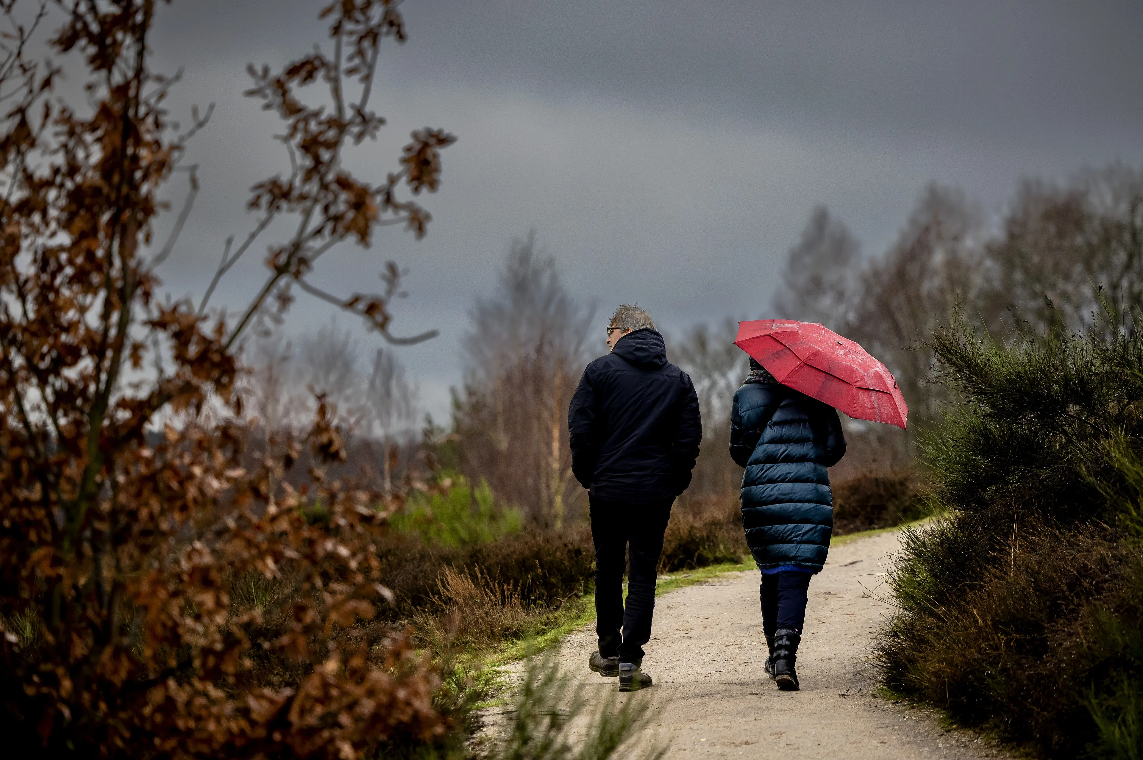 Zacht herfstweer maakt plaats voor kouder en wisselvallig weekend