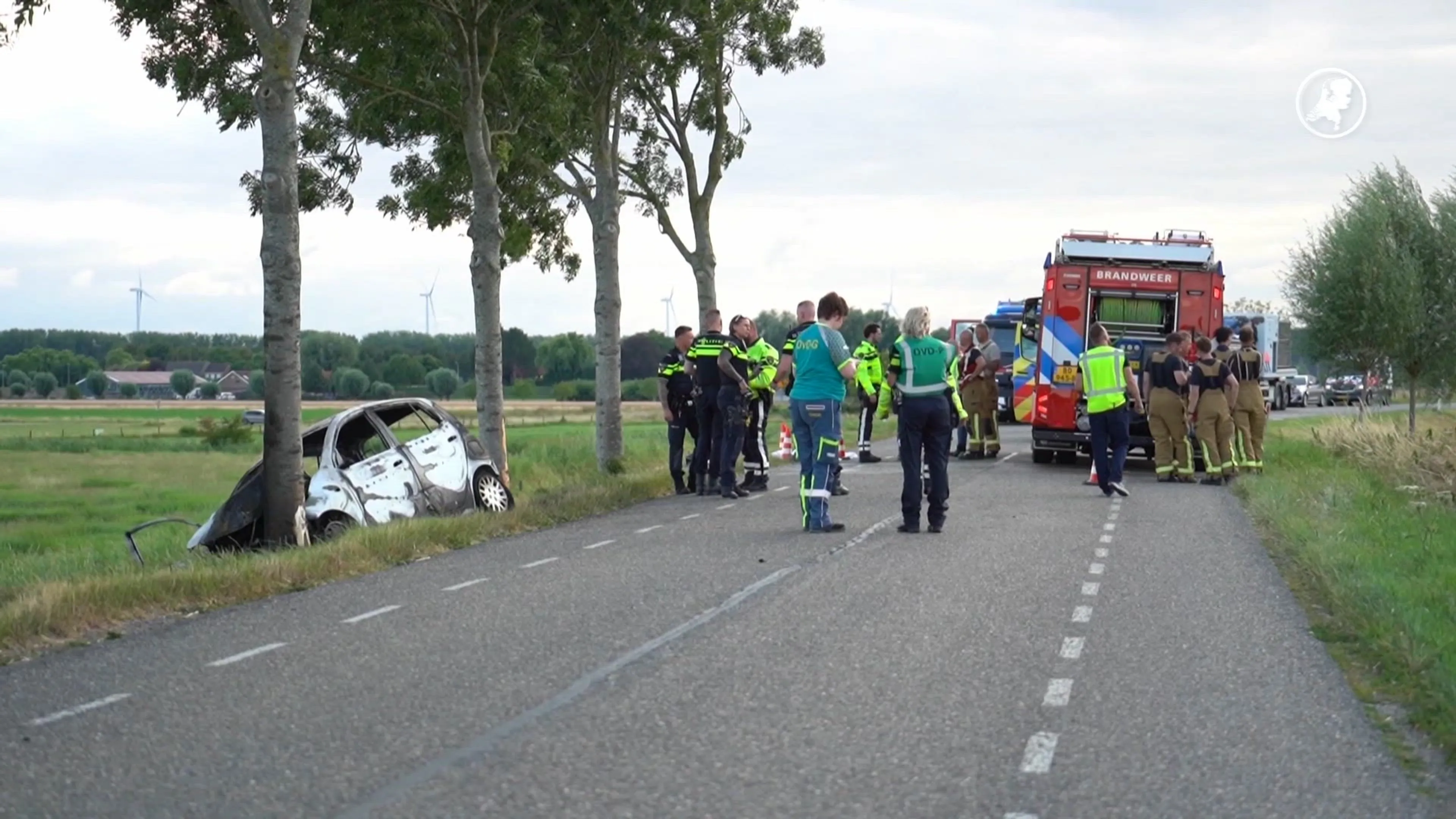 Auto vliegt in brand na botsing tegen boom in Strijen, bestuurder overleden