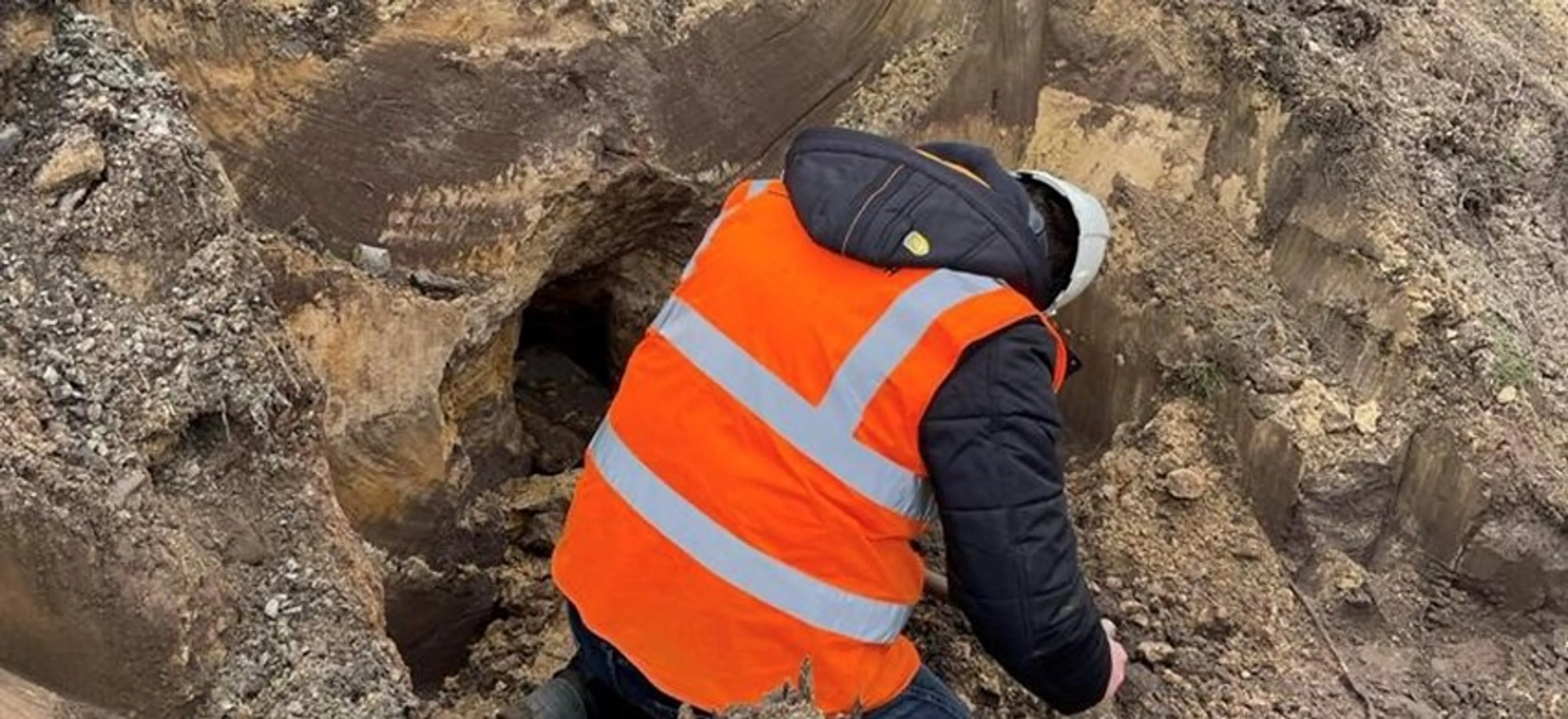 Ook dassenburchten gespot in Vught, werkzaamheden van start