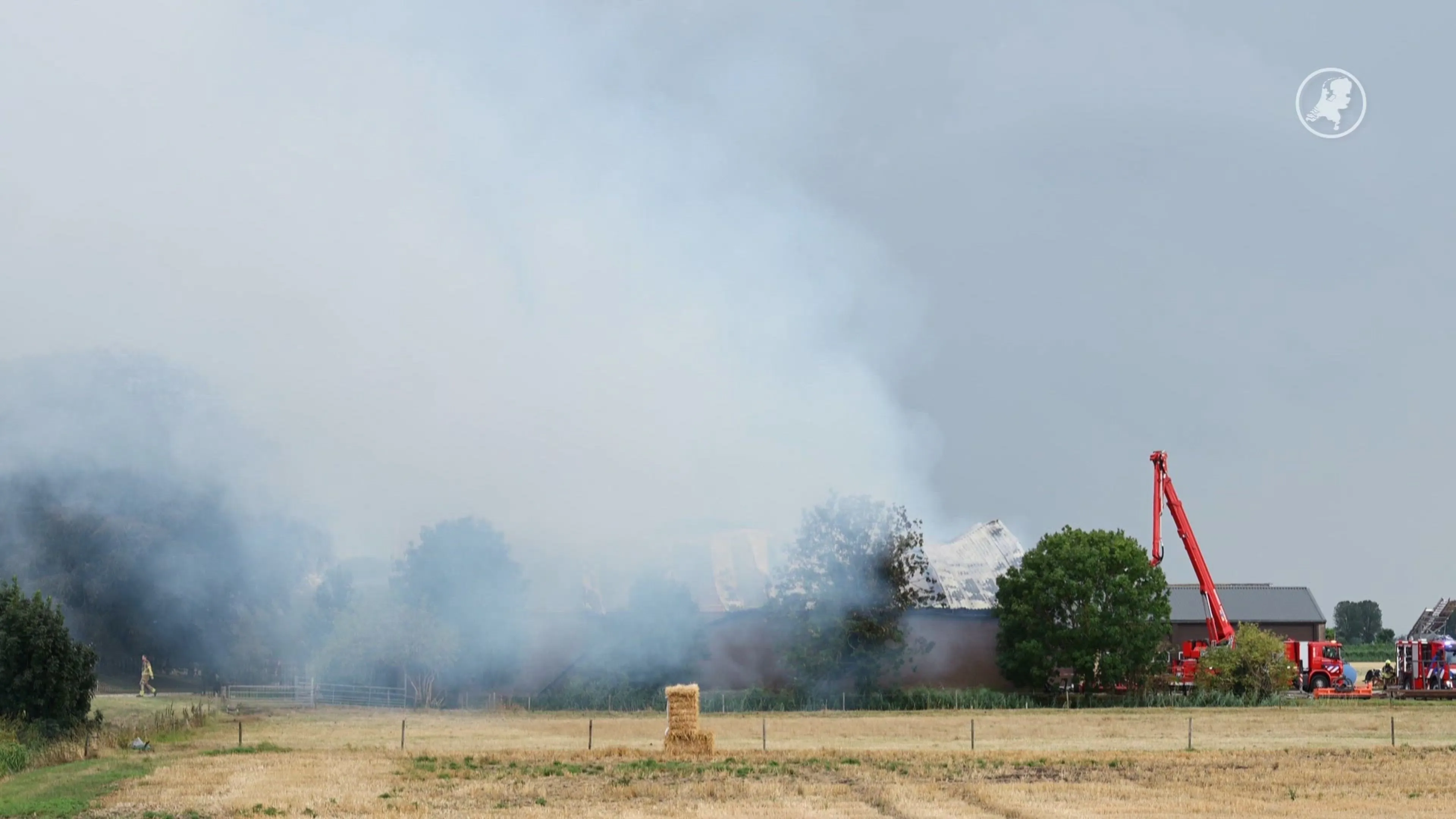 Vijf stieren omgekomen bij stalbrand in Zevenbergen