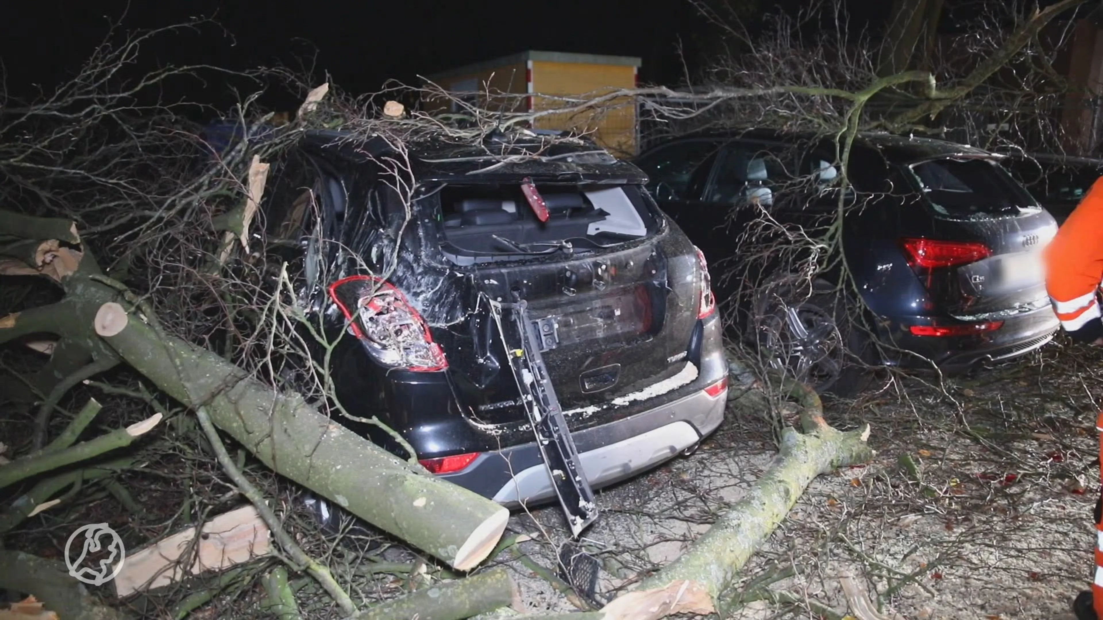 Meerdere auto's verwoest door omvallende boom in Apeldoorn