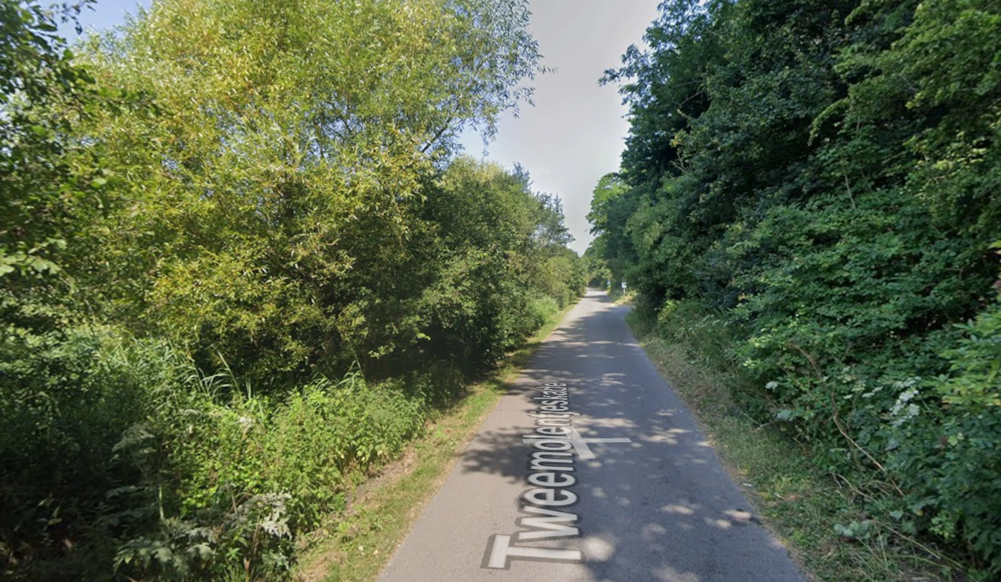 Na aanrandingen adviseert Delftse burgemeester om samen te fietsen