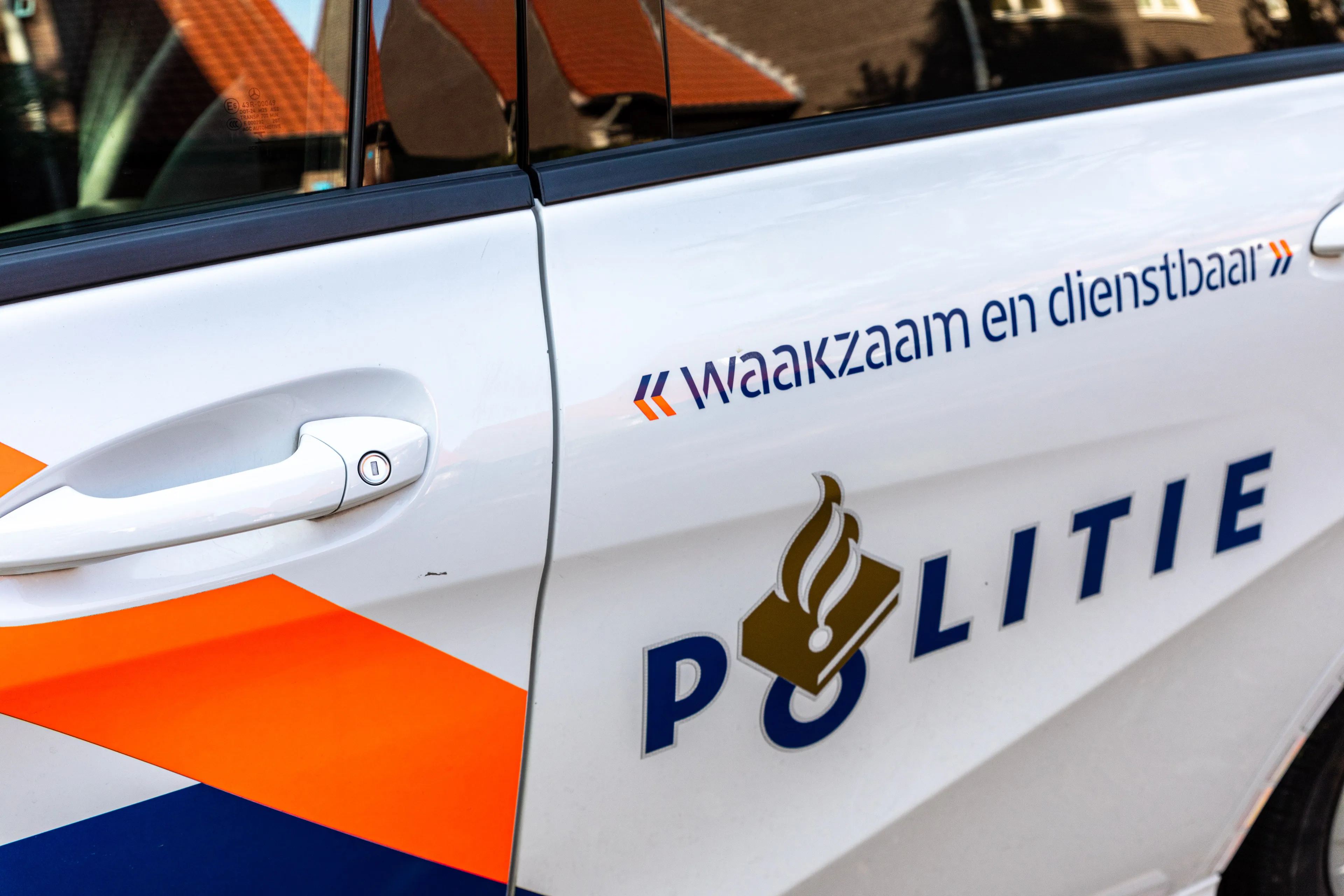 Hond verwondt meerdere schapen bij Uffelte, eigenaar spoorloos