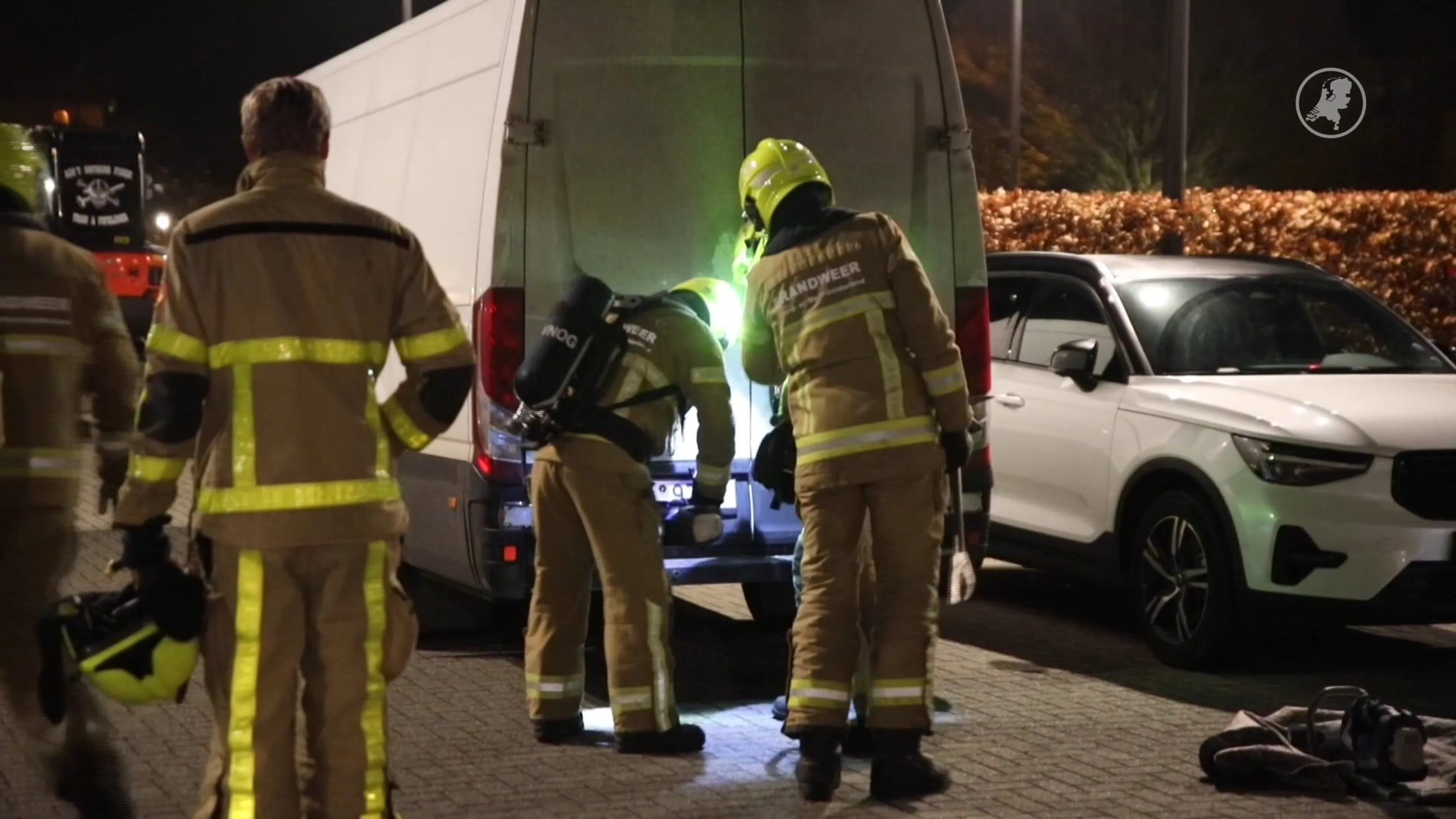 Drie albino-wallaby's gevonden in verlaten bus bij Apeldoorn
