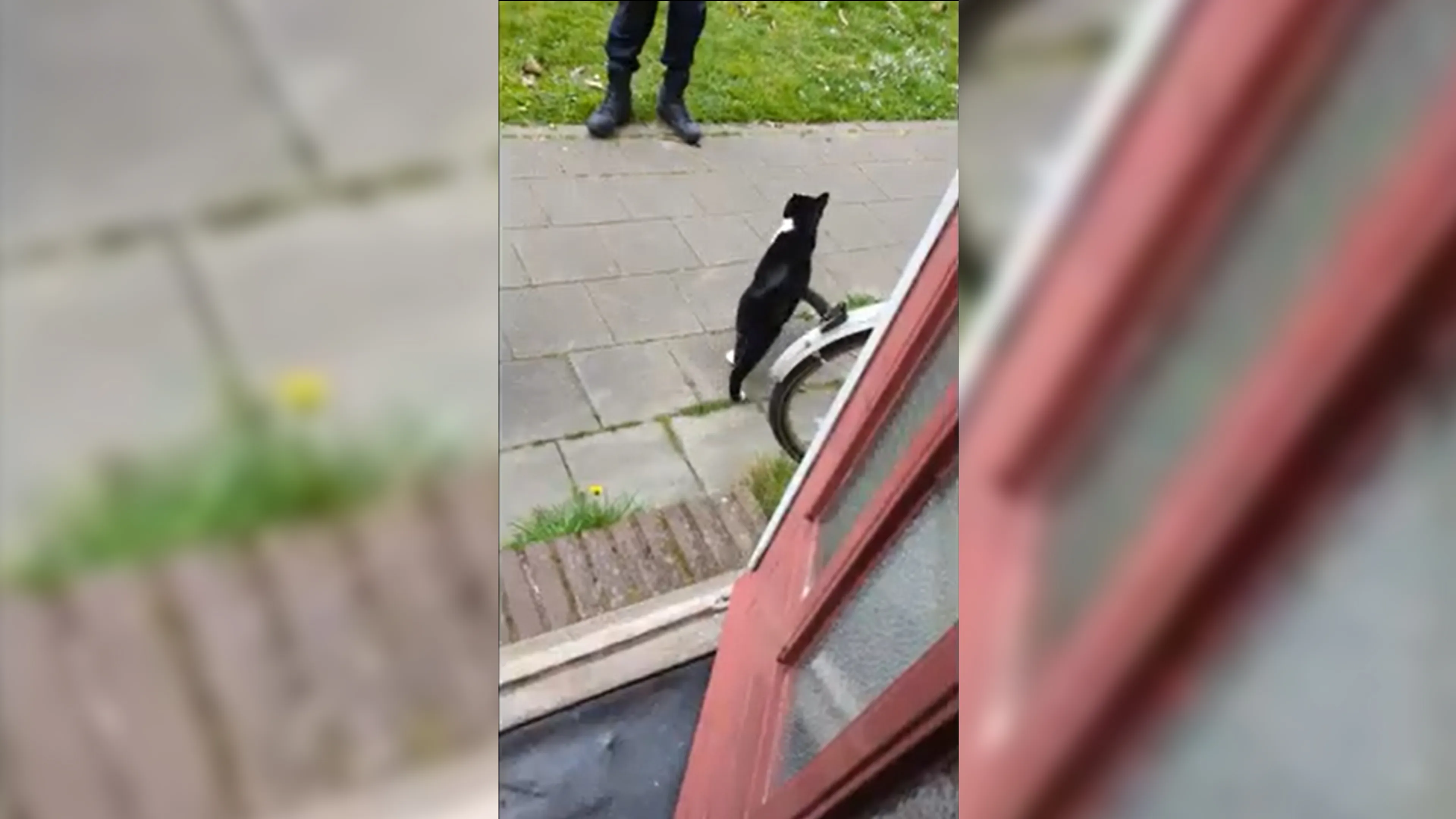 Politie bezoekt activist thuis, maar 'had nooit op deze manier mogen gebeuren'