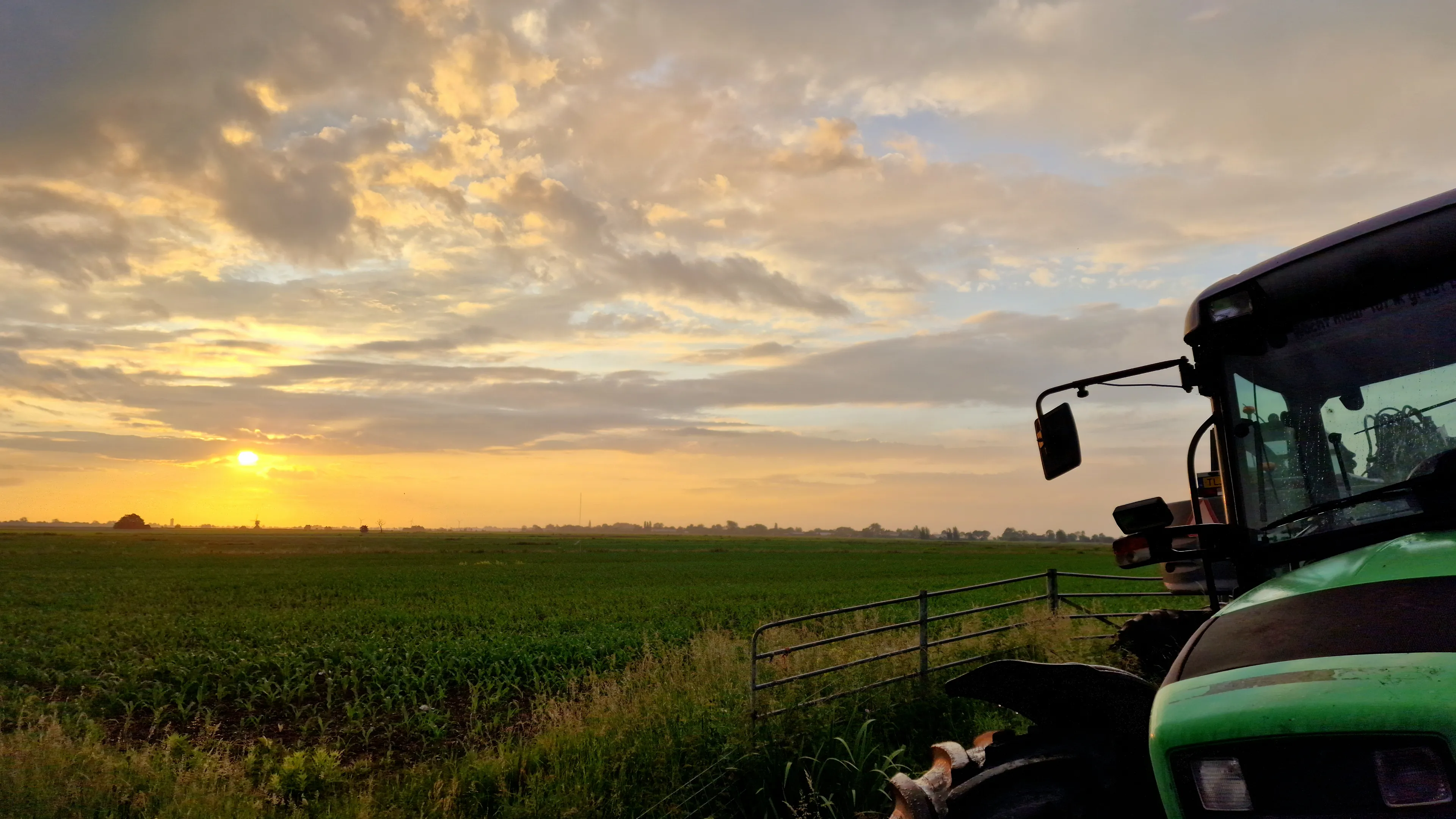 Even geen zomerweer: koelere en natte dagen in aantocht