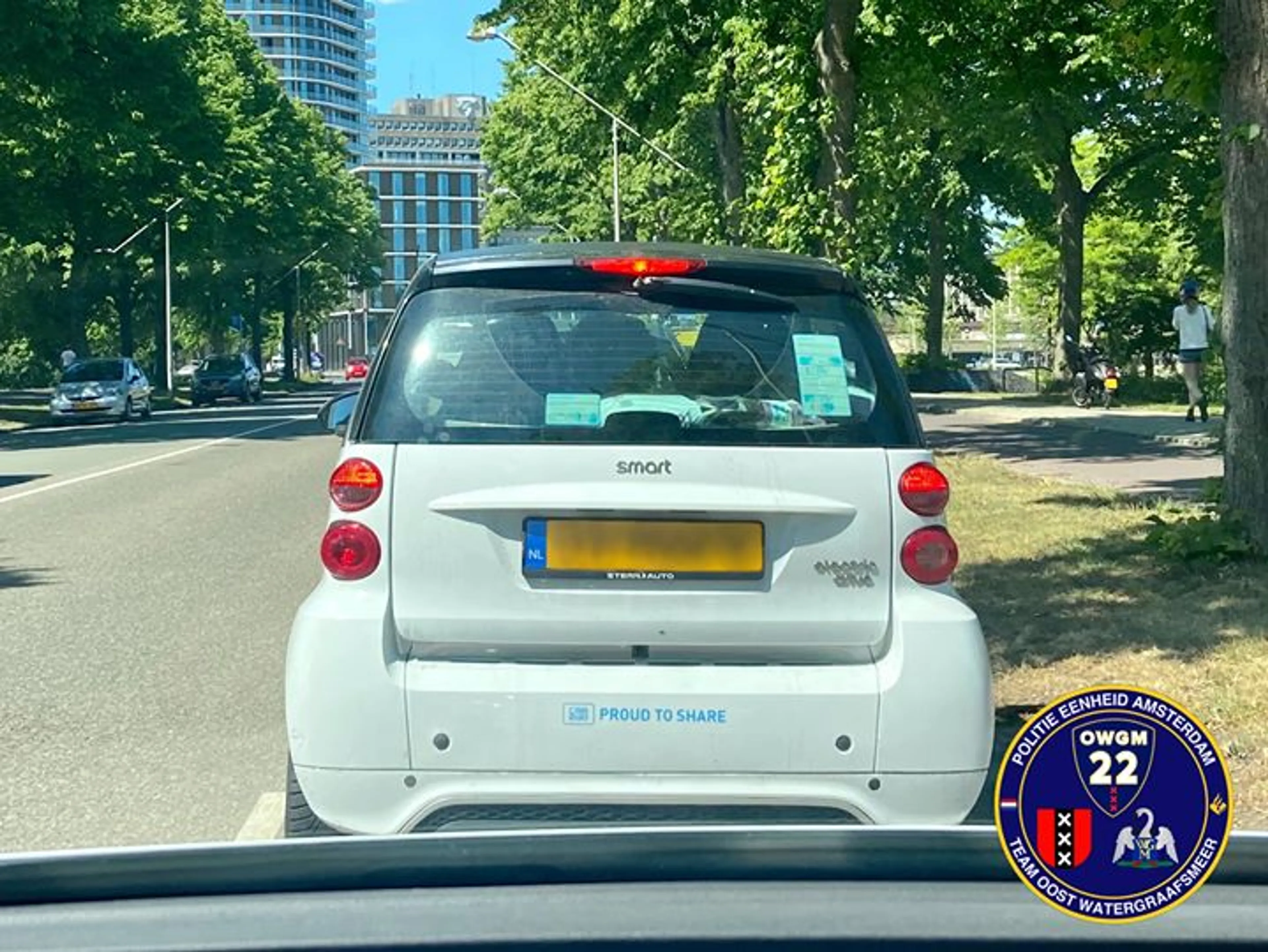 Politie wil 'krullenbol' in auto beboeten, blijkt het een buxusbol te zijn