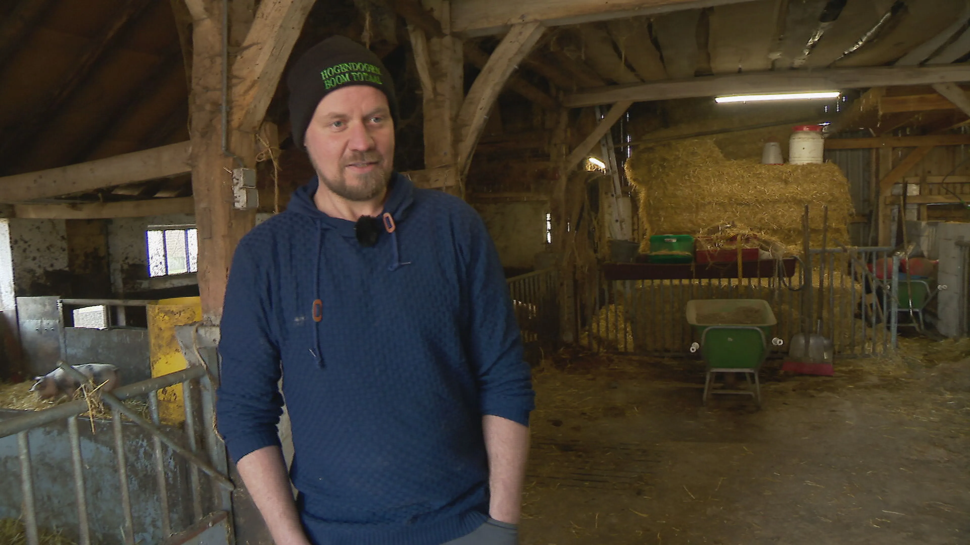 Hobbyboer Erik moet stoppen met zijn 30 scharrelvarkens: 'Onbegrijpelijk'