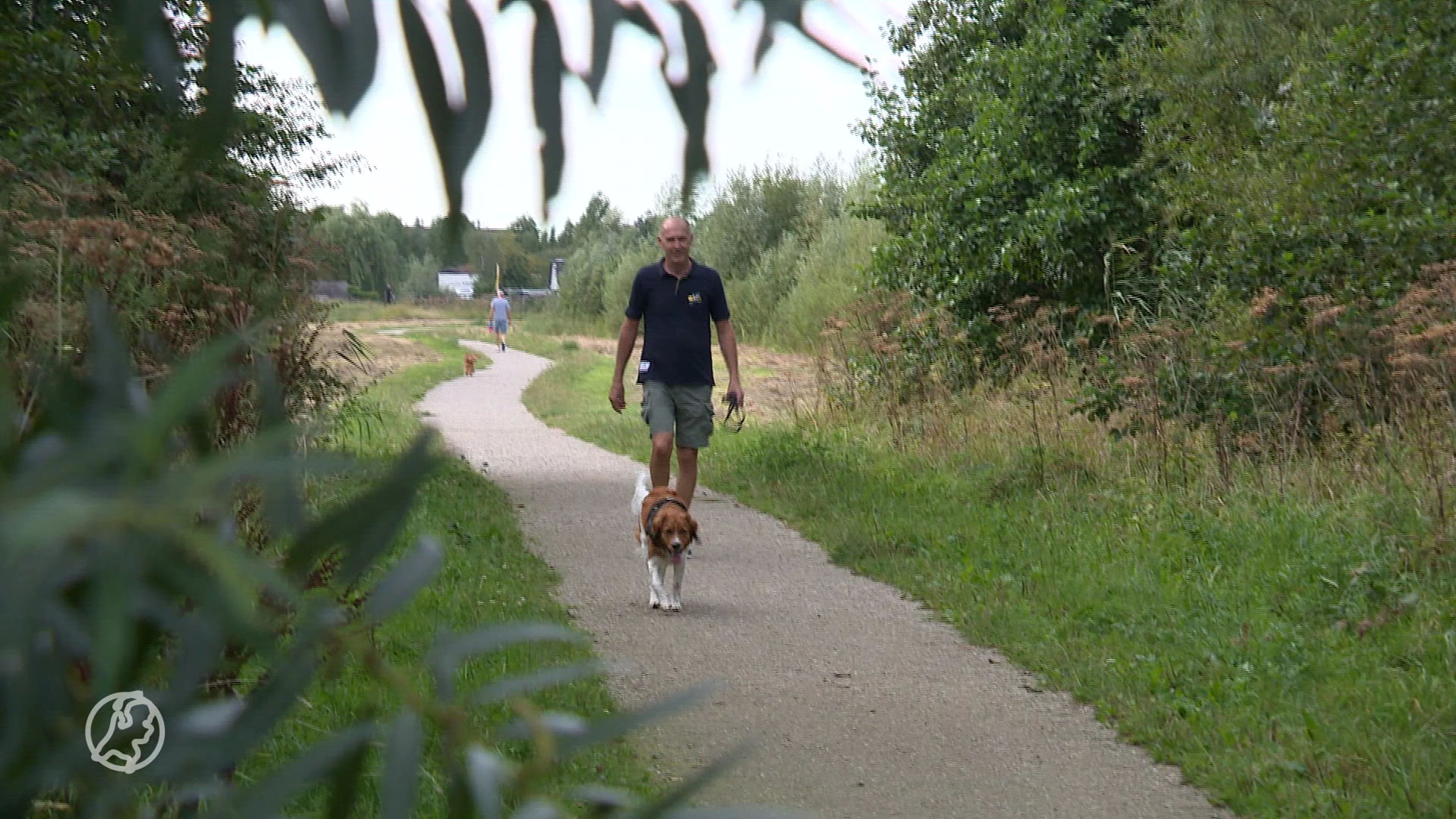 Kwart hondenbaasjes regelt niets voor hond bij overlijden, en dat kan fout gaan