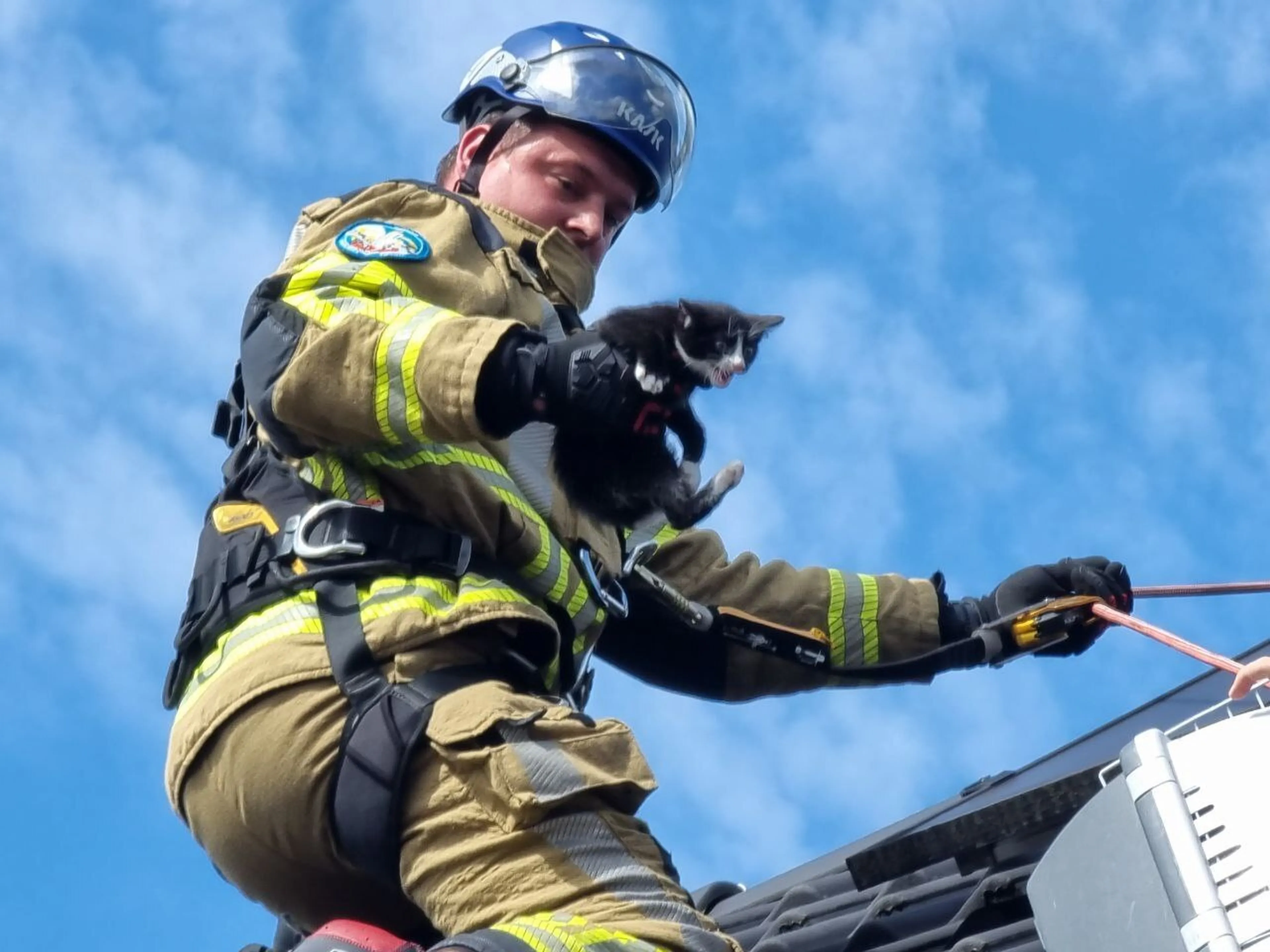 Brandweer redt kitten die vastzit tussen zonnepanelen op dak in Hengelo