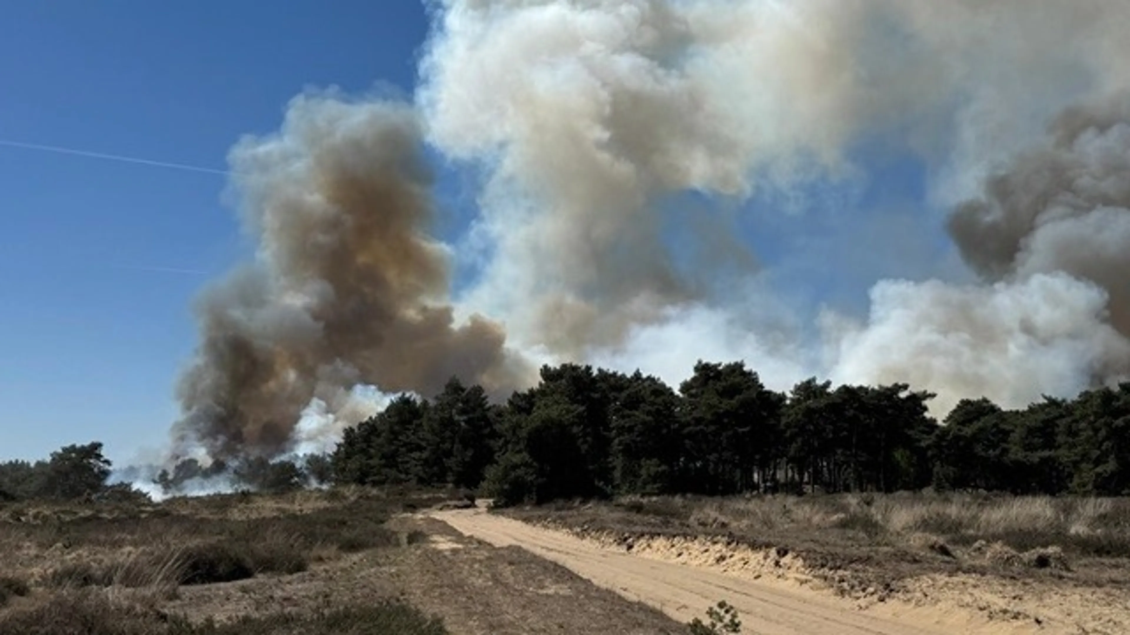 Na dagen blussen eindelijk het sein brand meester gegeven bij natuurbrand Weert