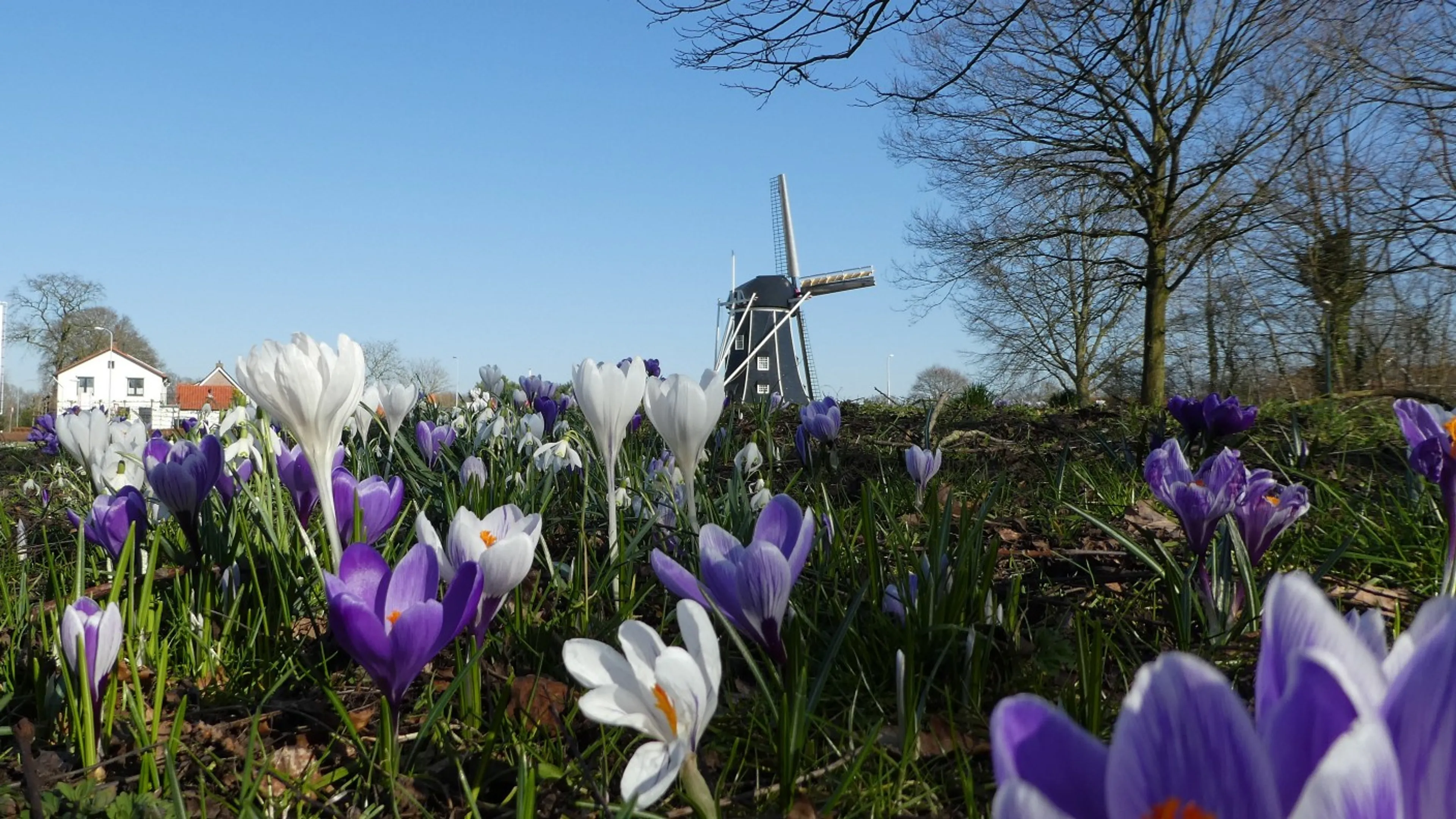 Wisselvallig weer bijna voorbij, vanaf maandag lente op komst