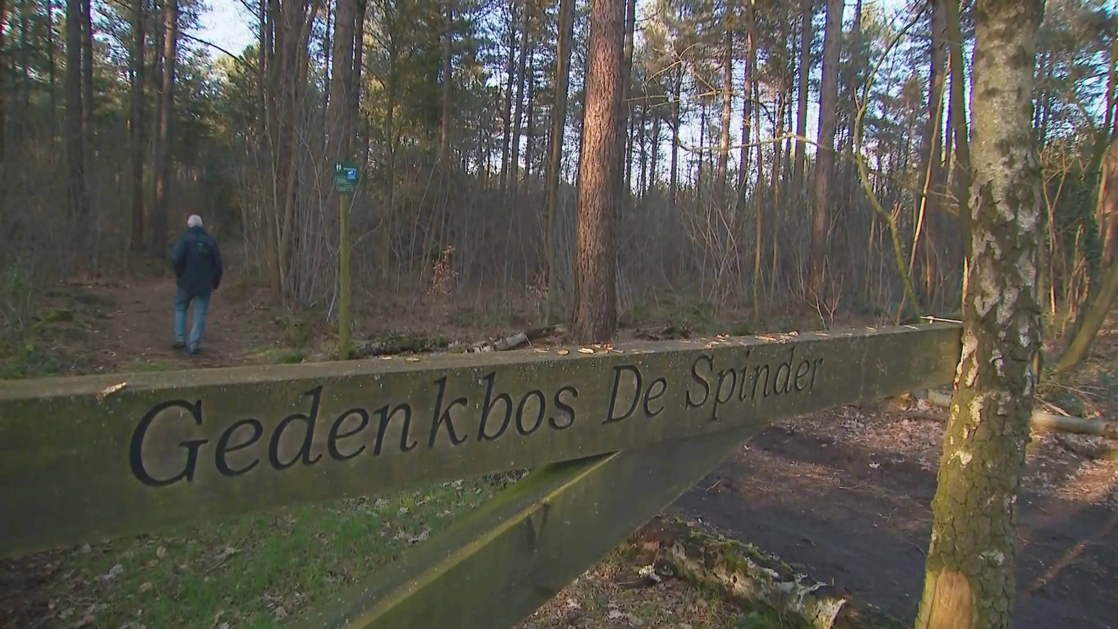 Hitsige heren verstoren zielenrust in gedenkbos: 'Vond gebruikte condooms op gedenkbankje'