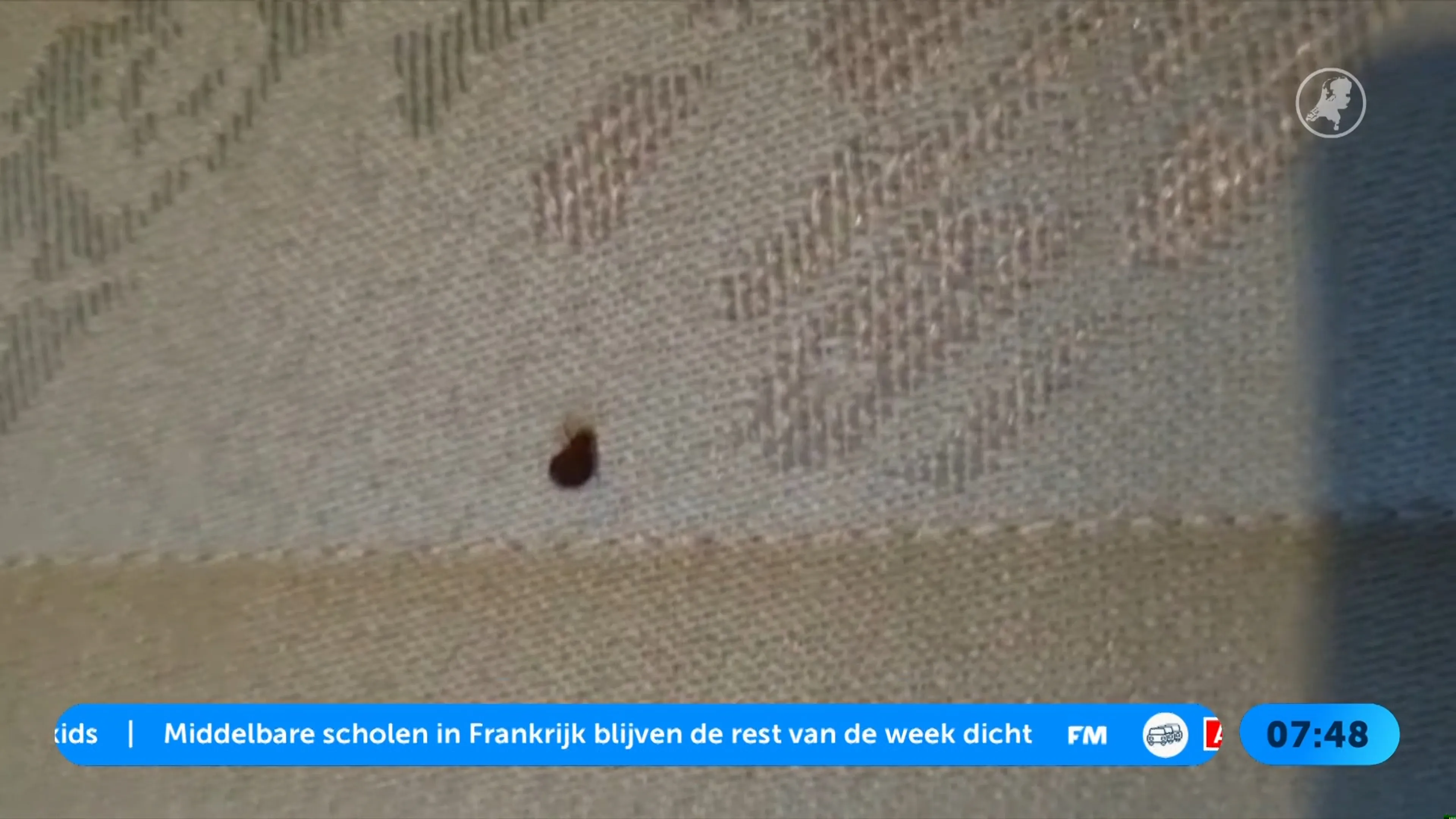 Werkweek Parijs wordt nachtmerrie: leerlingen vluchten voor bedwantsen
