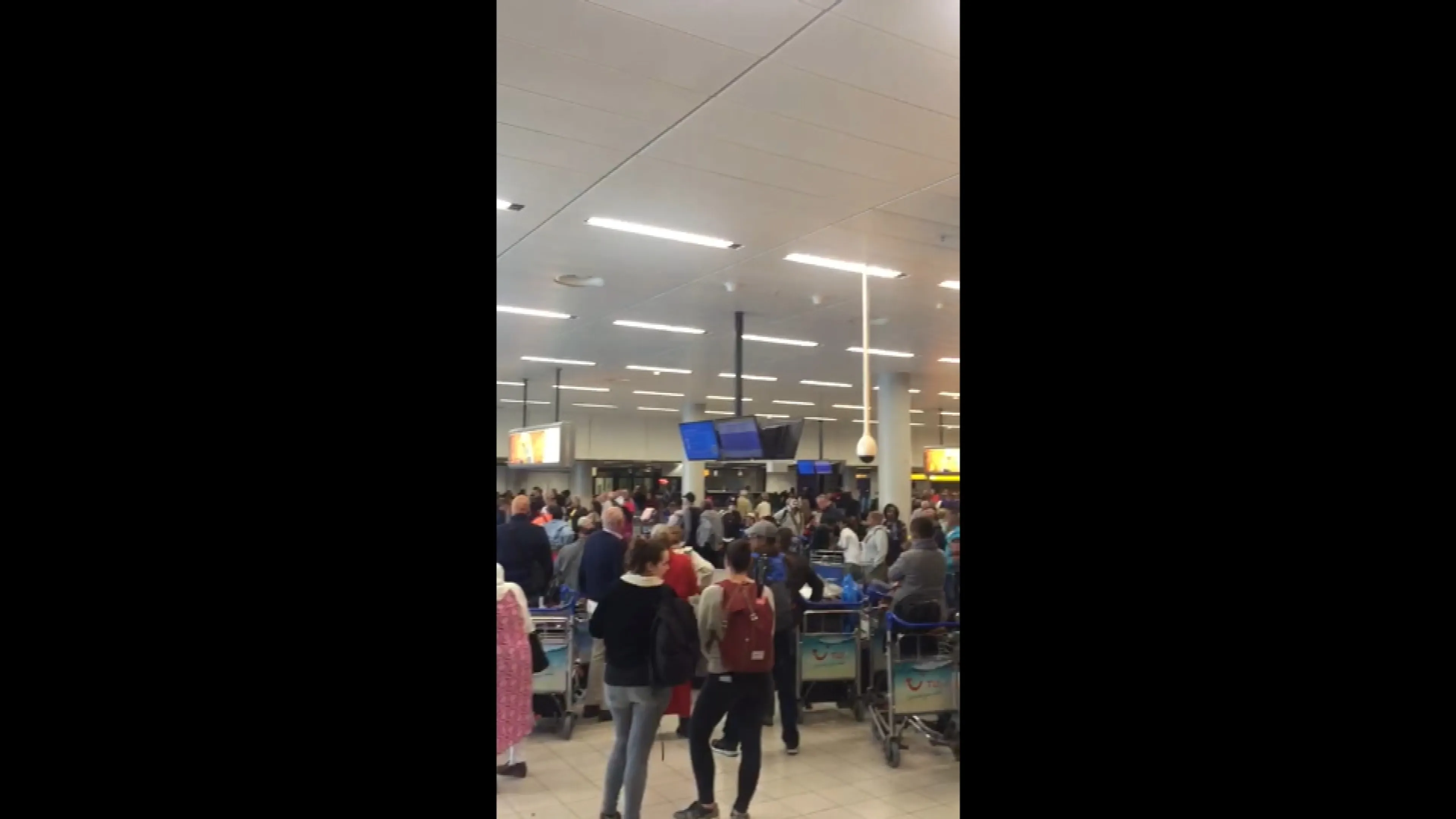 Grote drukte bij bagageband Schiphol: 'Anderhalve meter lukte niet'