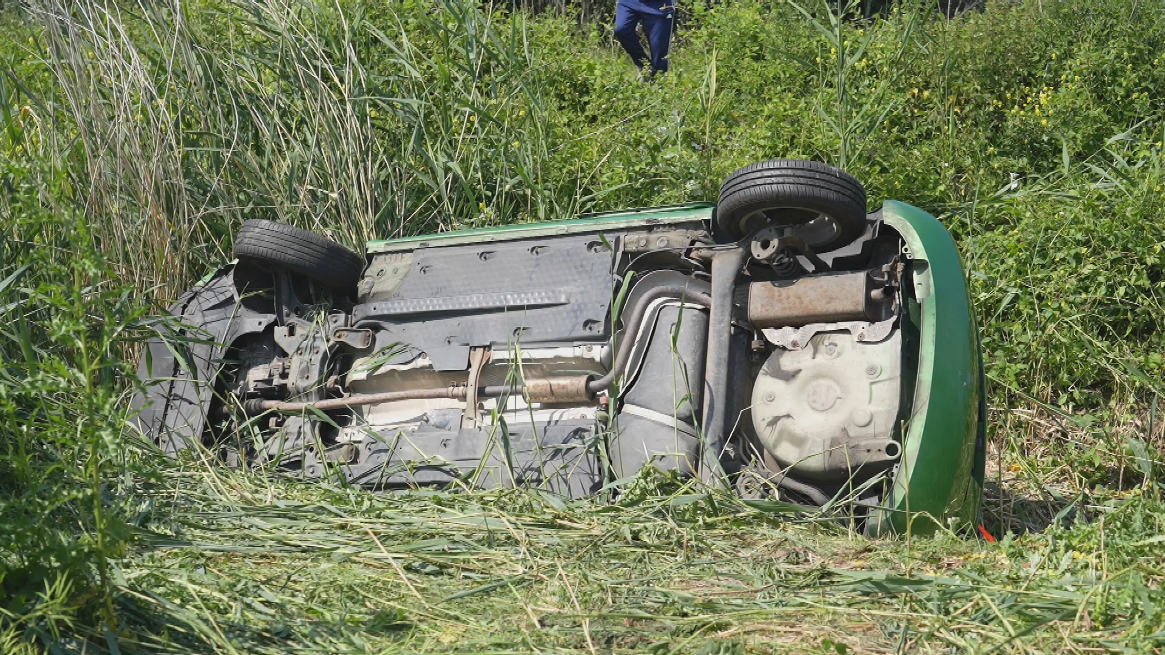 Auto vliegt van A59 na verkeersruzie, bestuurder gewond en ree doodgereden
