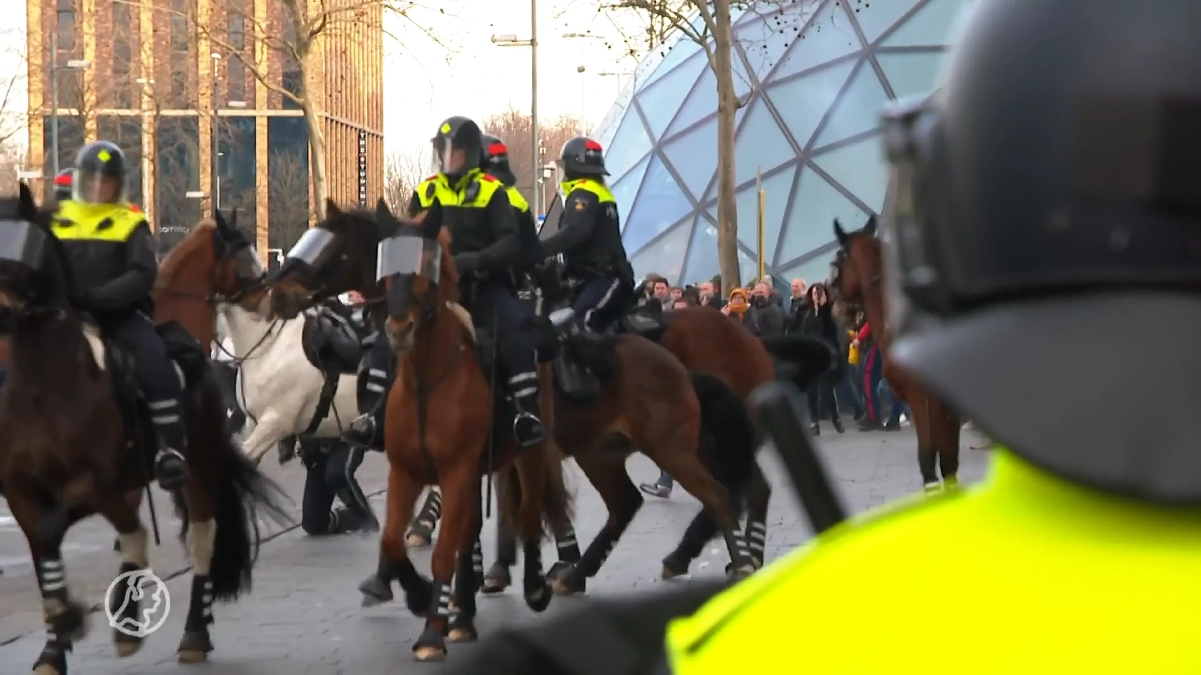 Heftige dag voor politiepaarden in frontlinies Amsterdam en Eindhoven