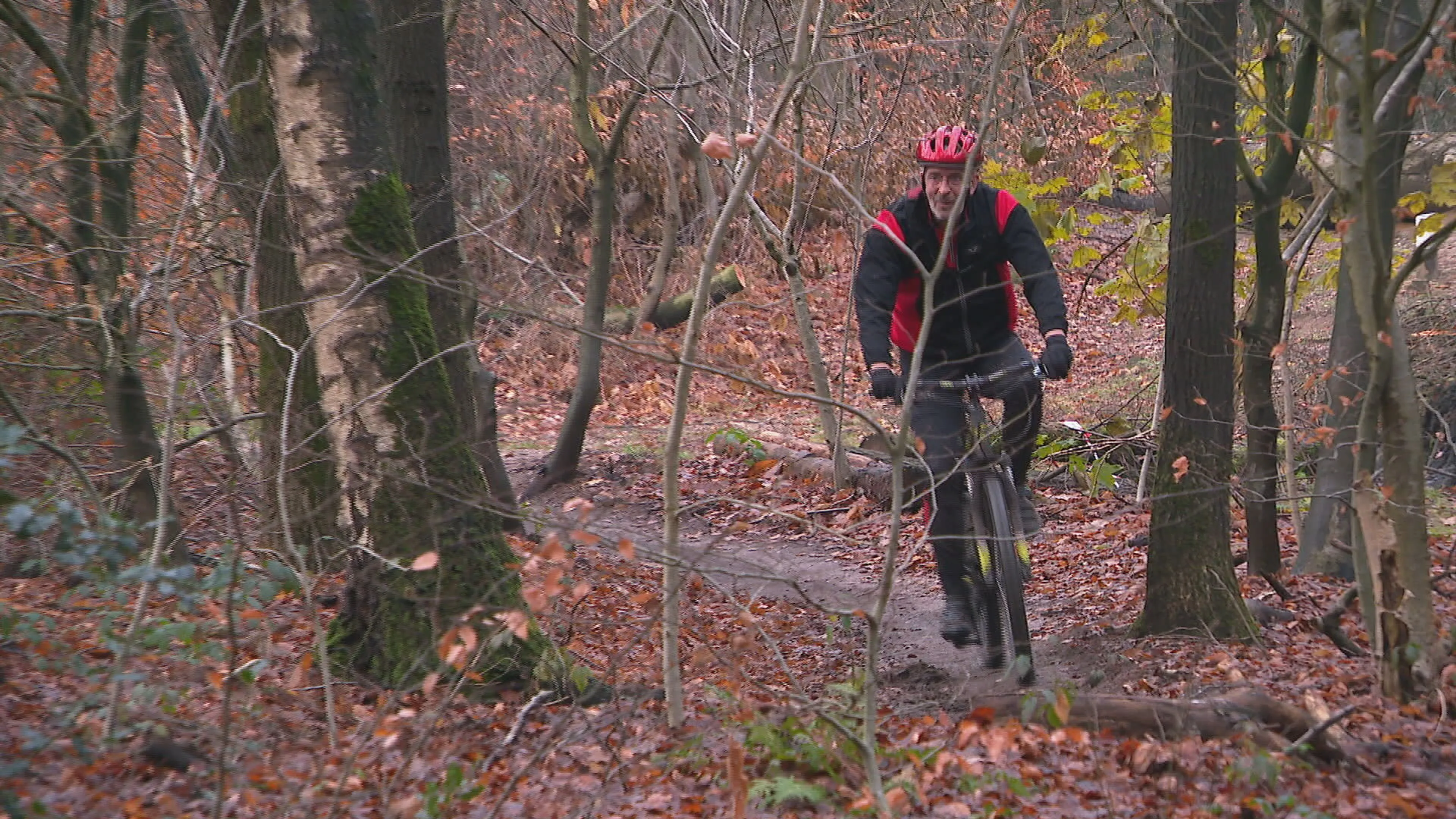 Bijzondere kever doet mountainbikeroute in Rijk van Nijmegen mogelijk de das om