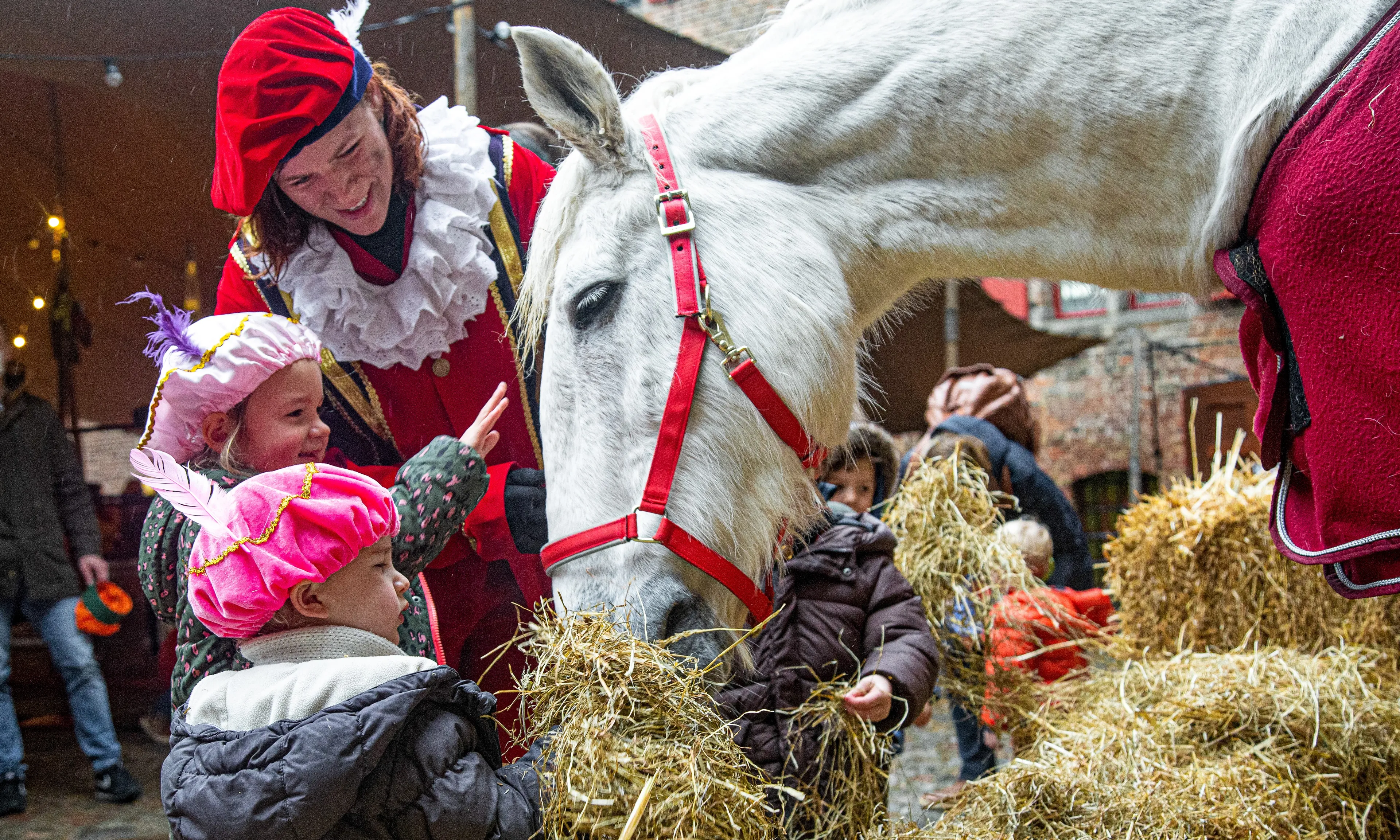 Paard van Sinterklaas overleden: 'Het was een echte filmster'