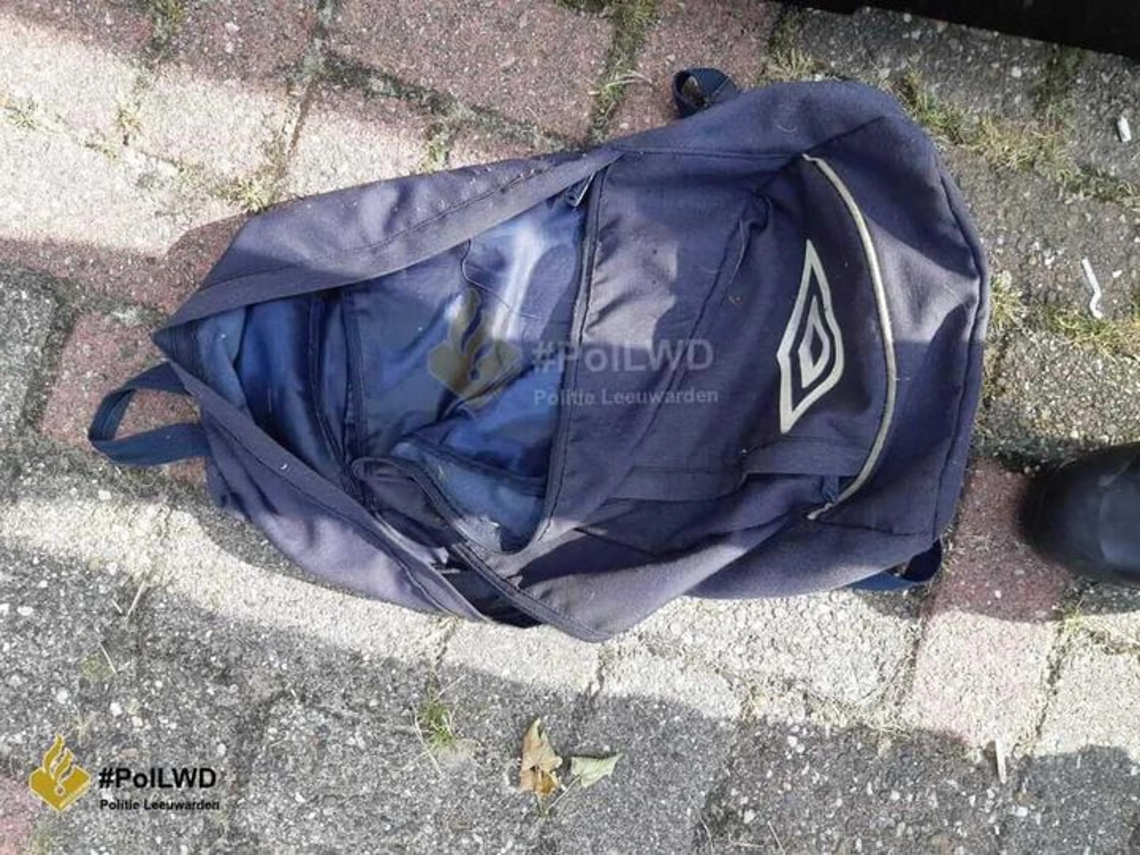 Woede om vondst dode zwangere poes, dierenpolitie verwijdert bedreigingen jegens dader