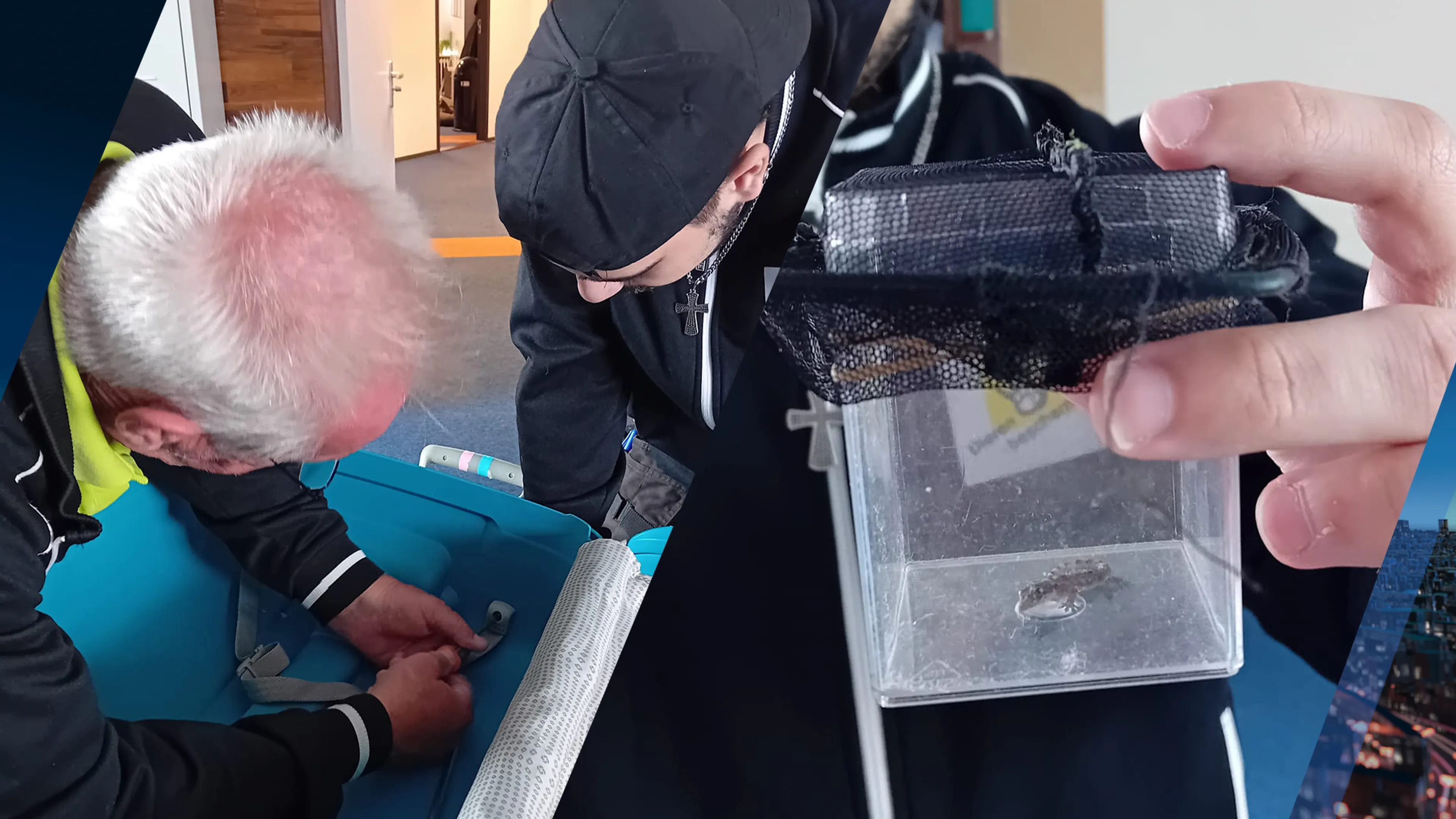 Dat is schrikken: Aziatisch reptiel kruipt uit reiskoffer bij thuiskomst